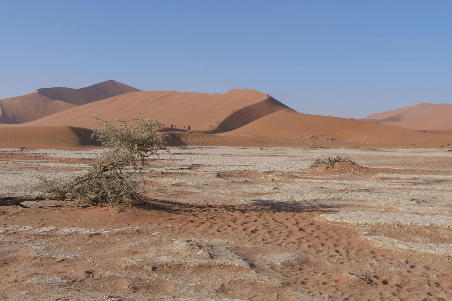 Illustration zu Bauer Sucht Frau Namibia Hinweis: Dieser Artikel Stellt Keine Anlageberatung Dar. Anleger Sollten Eigene Recherche Betreiben.