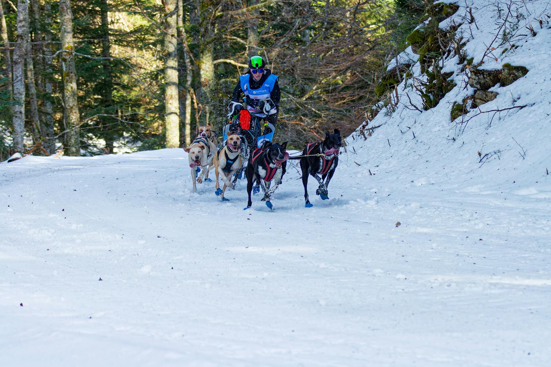 Symbolbild zum Thema Biathlon