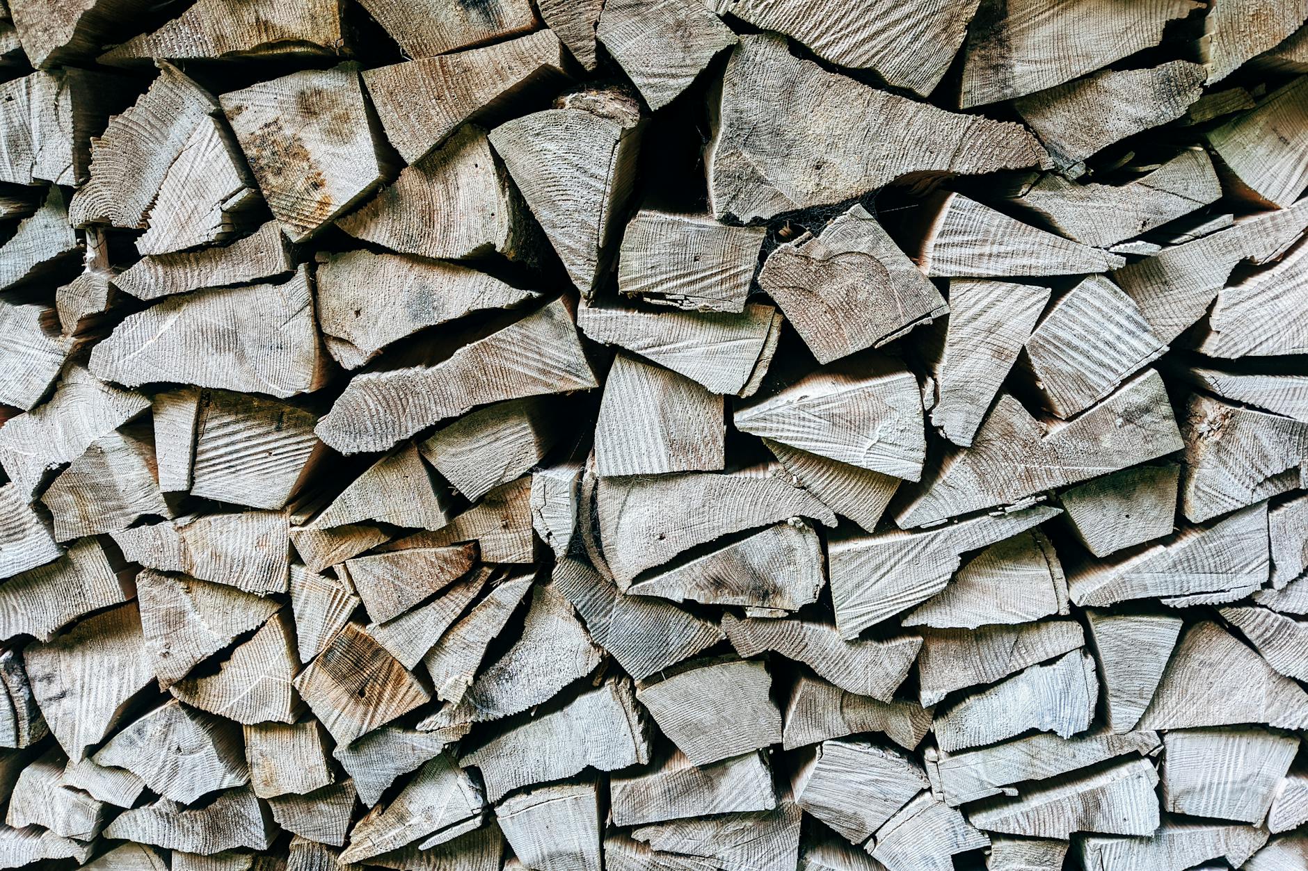 Brennholz Illustration zu Brennholz