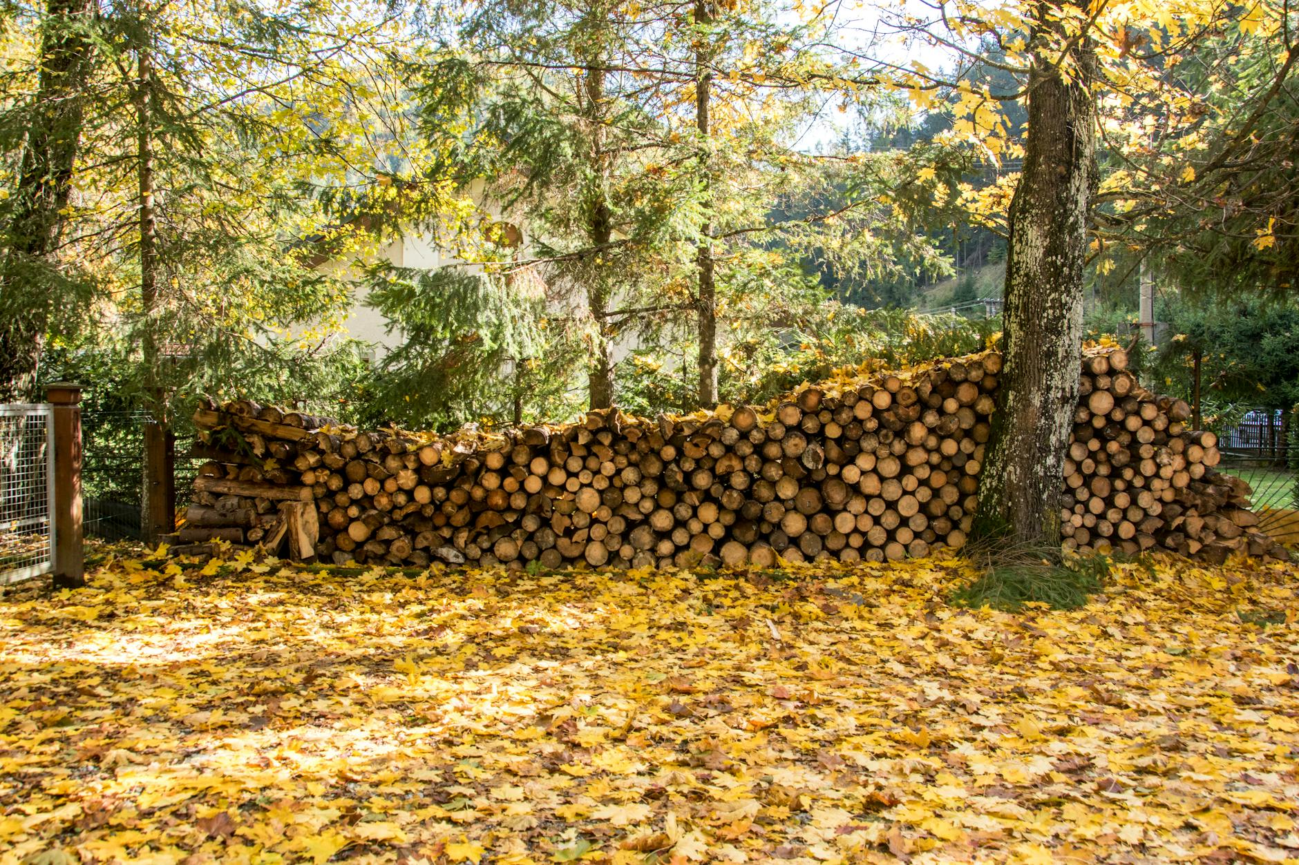 Brennholz Detailansicht: Brennholz