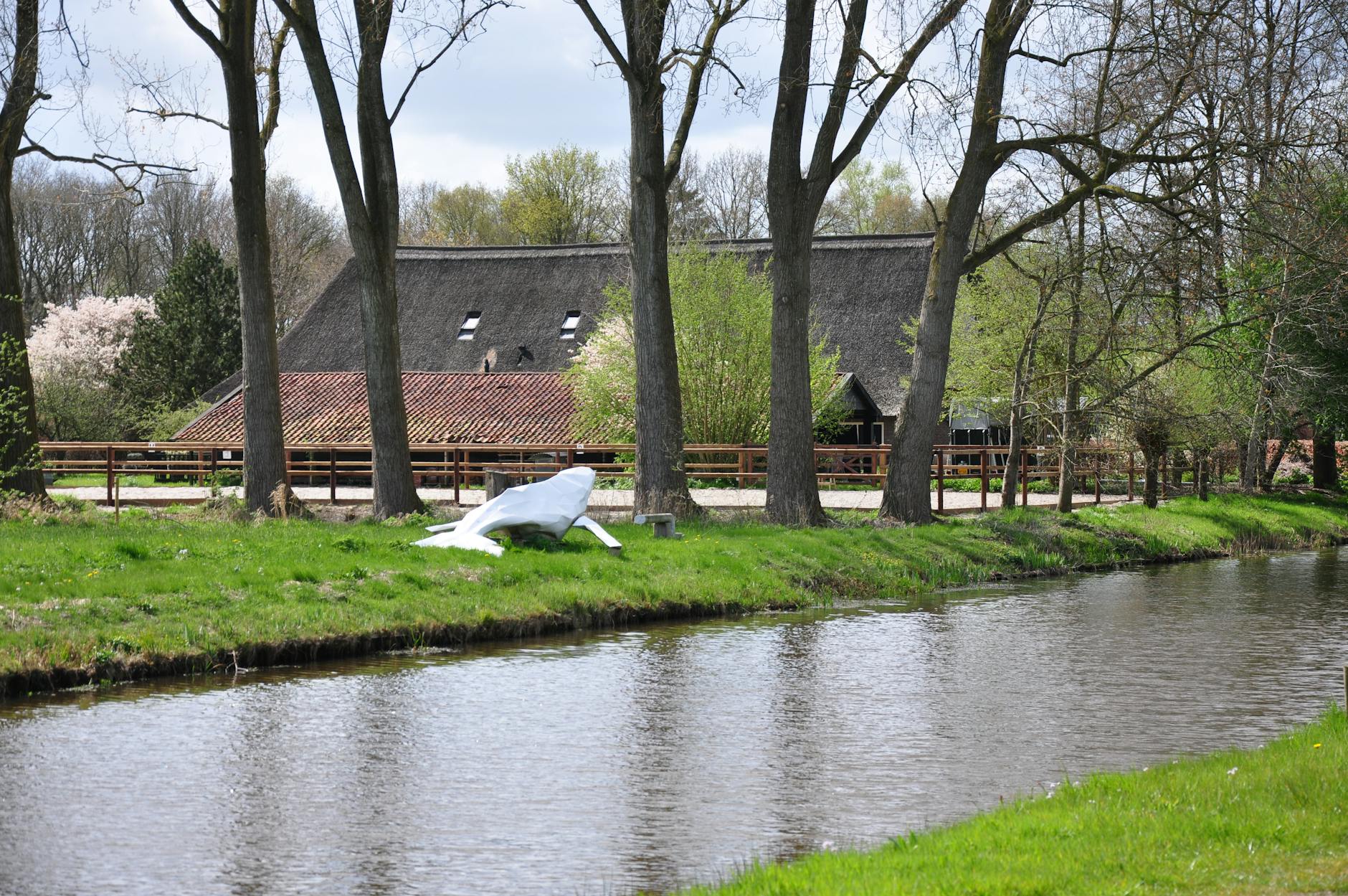 Detailansicht: Buckelwal Poel