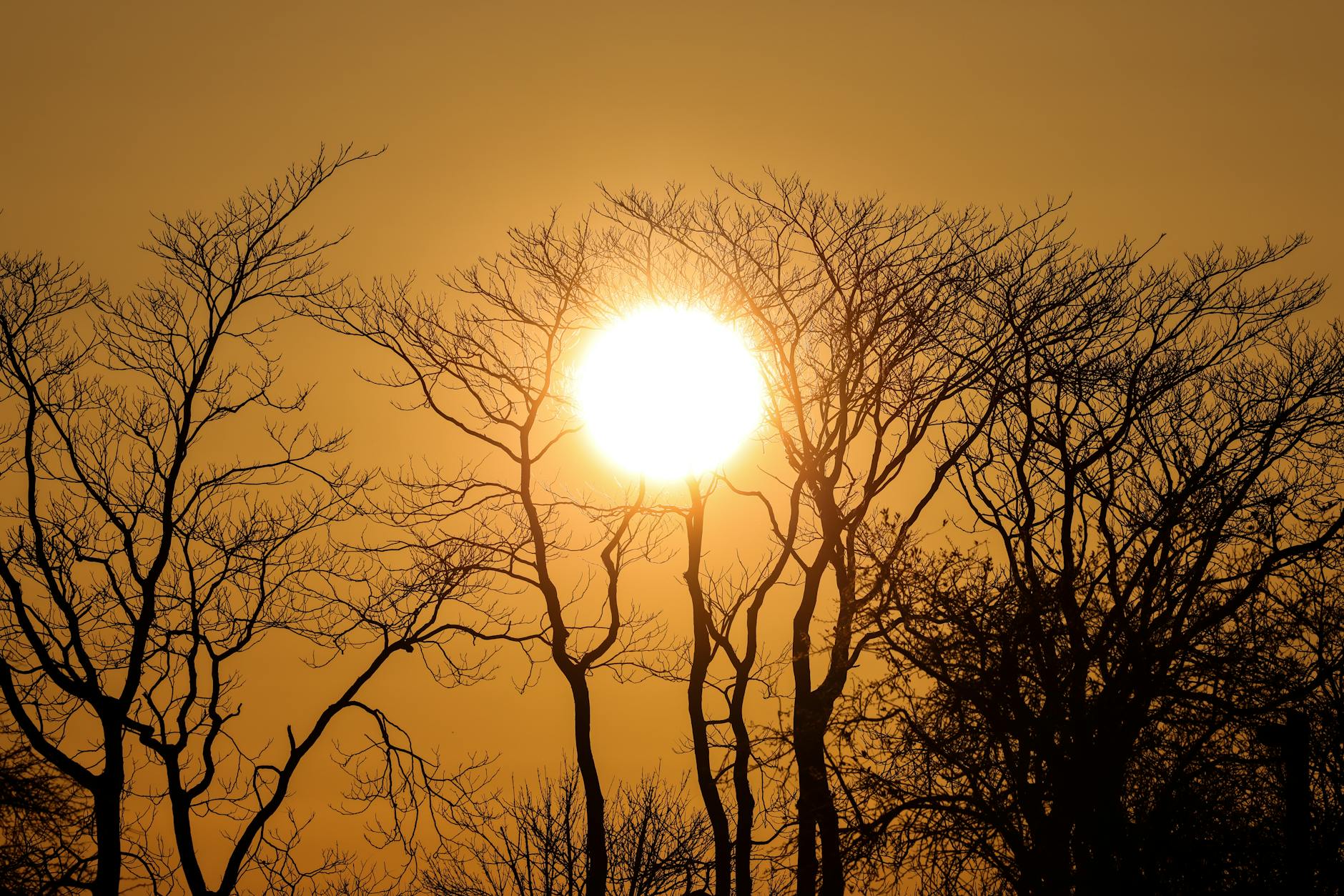 Detailansicht: Carsten Maschmeyer Sun Matters