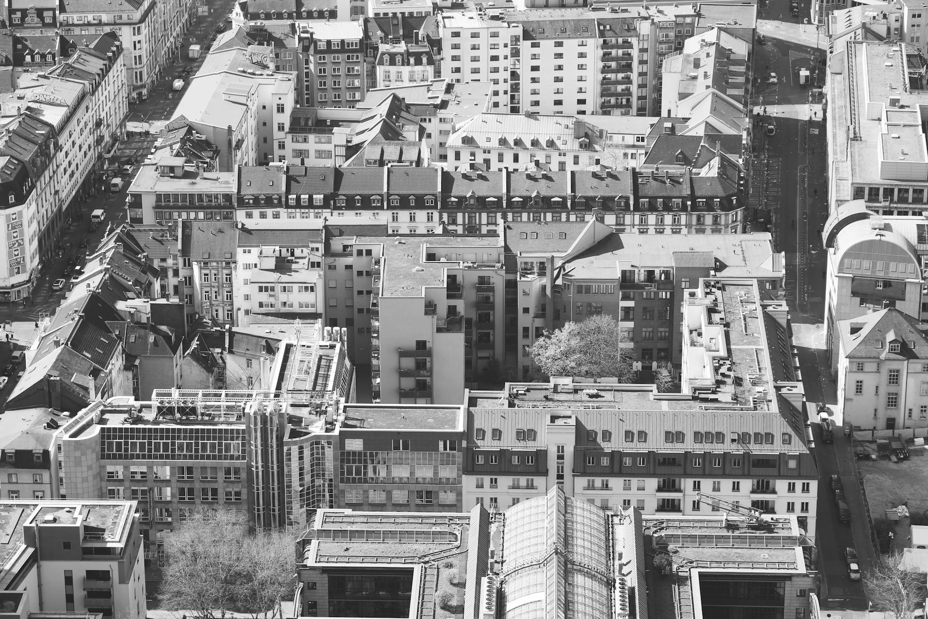 Symbolbild zum Thema Eintracht Frankfurt