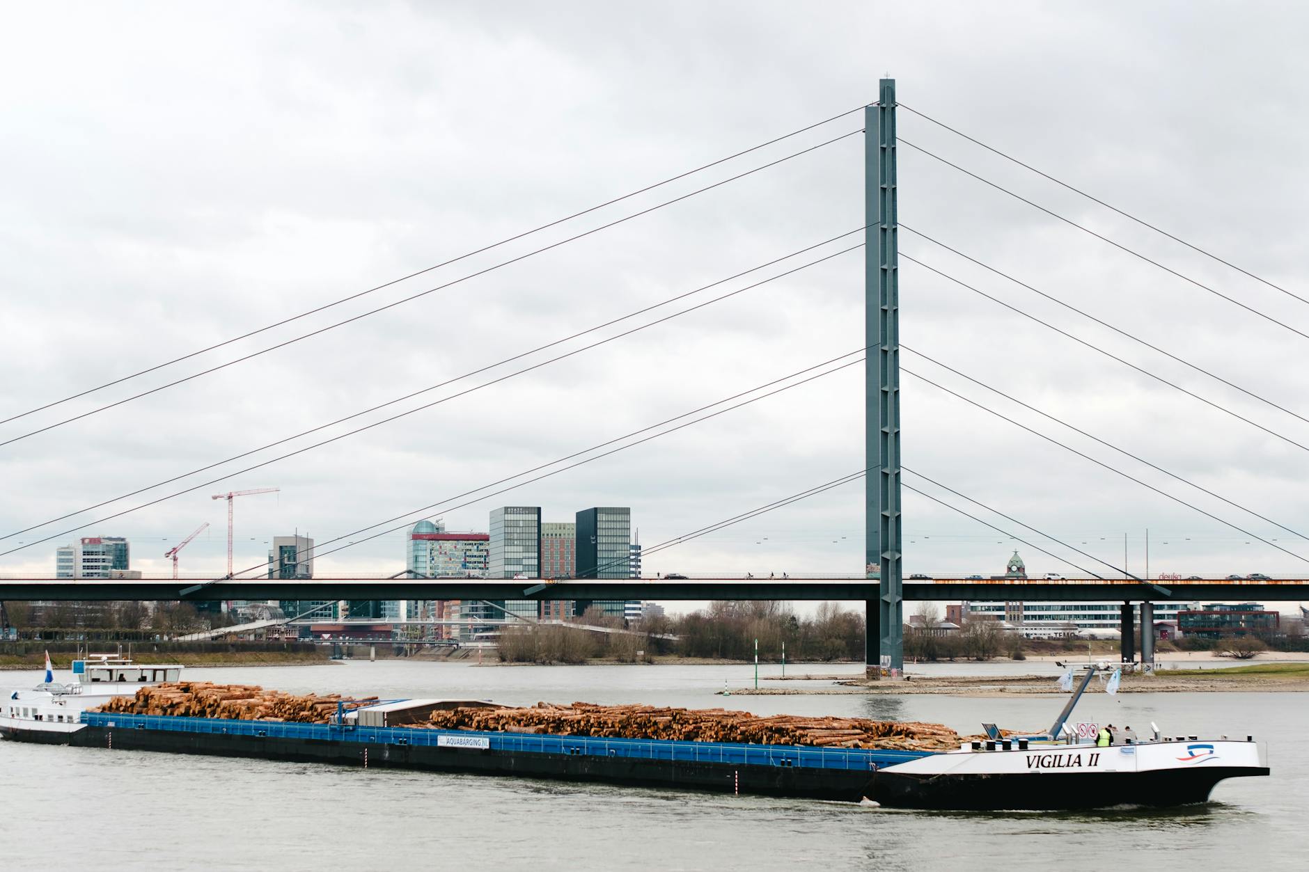 Detailansicht: Fortuna Düsseldorf