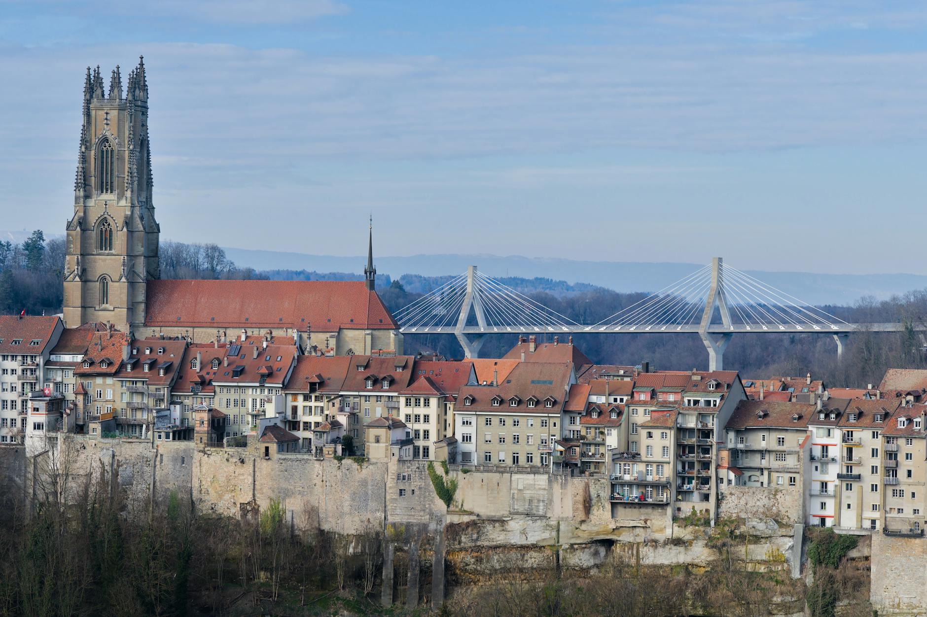 Illustration zu Fribourg Gotteron