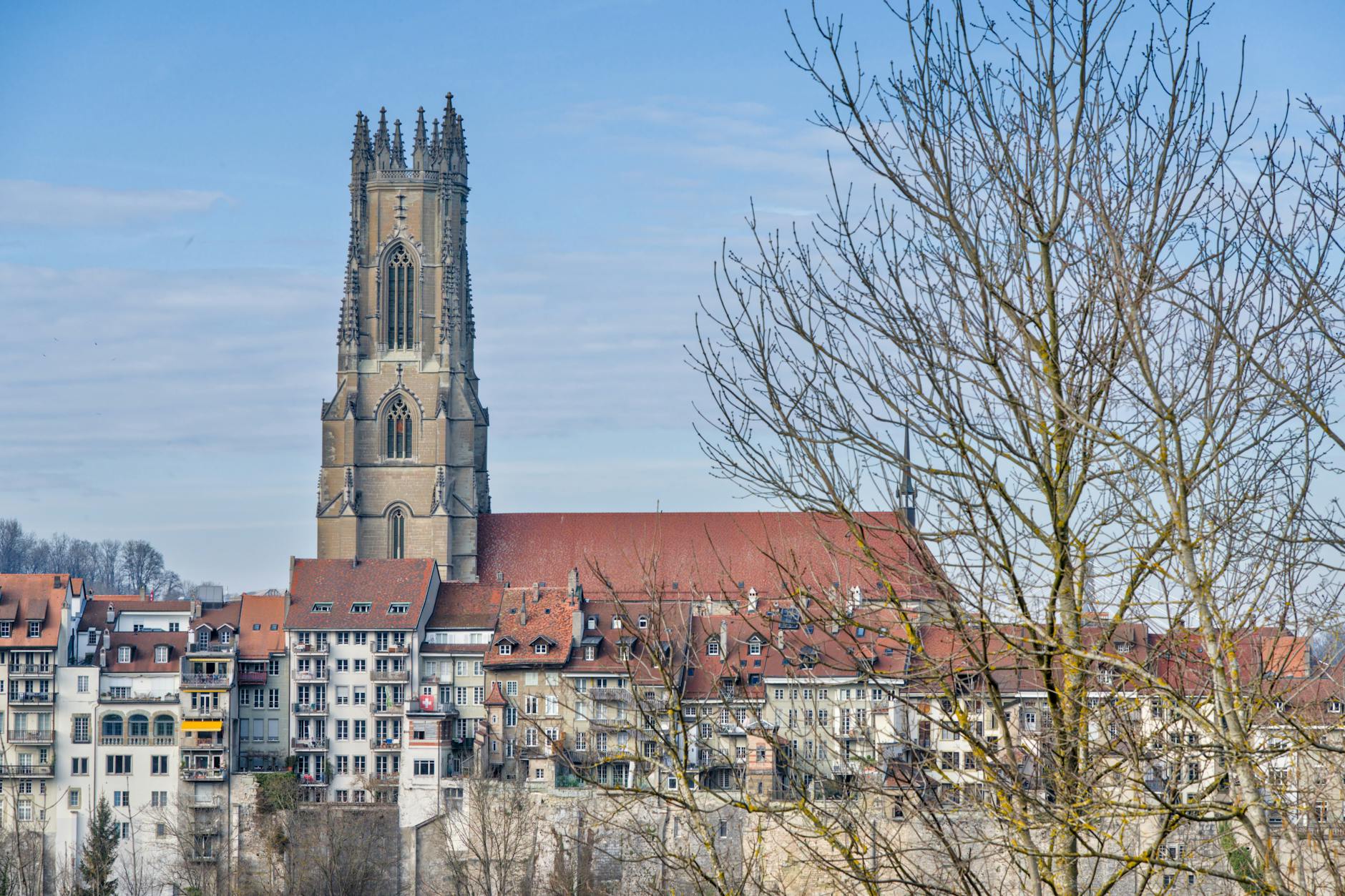 Detailansicht: Fribourg Gotteron