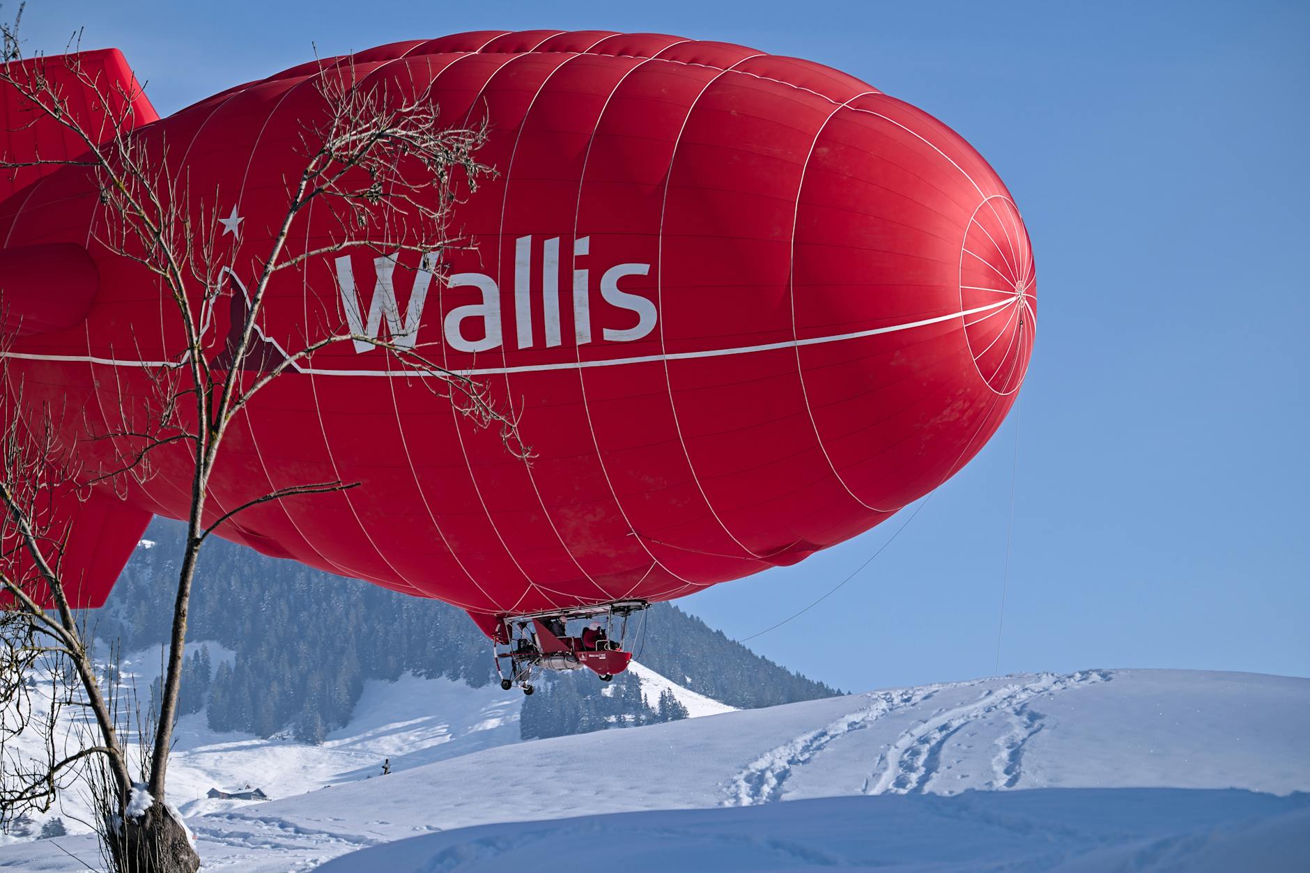 Detailansicht: Gotteron Davos