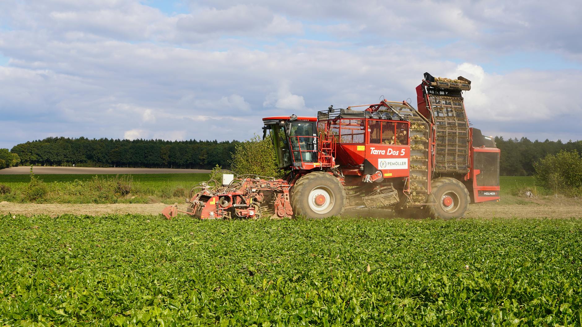 Detailansicht: Grimme Preis 2026