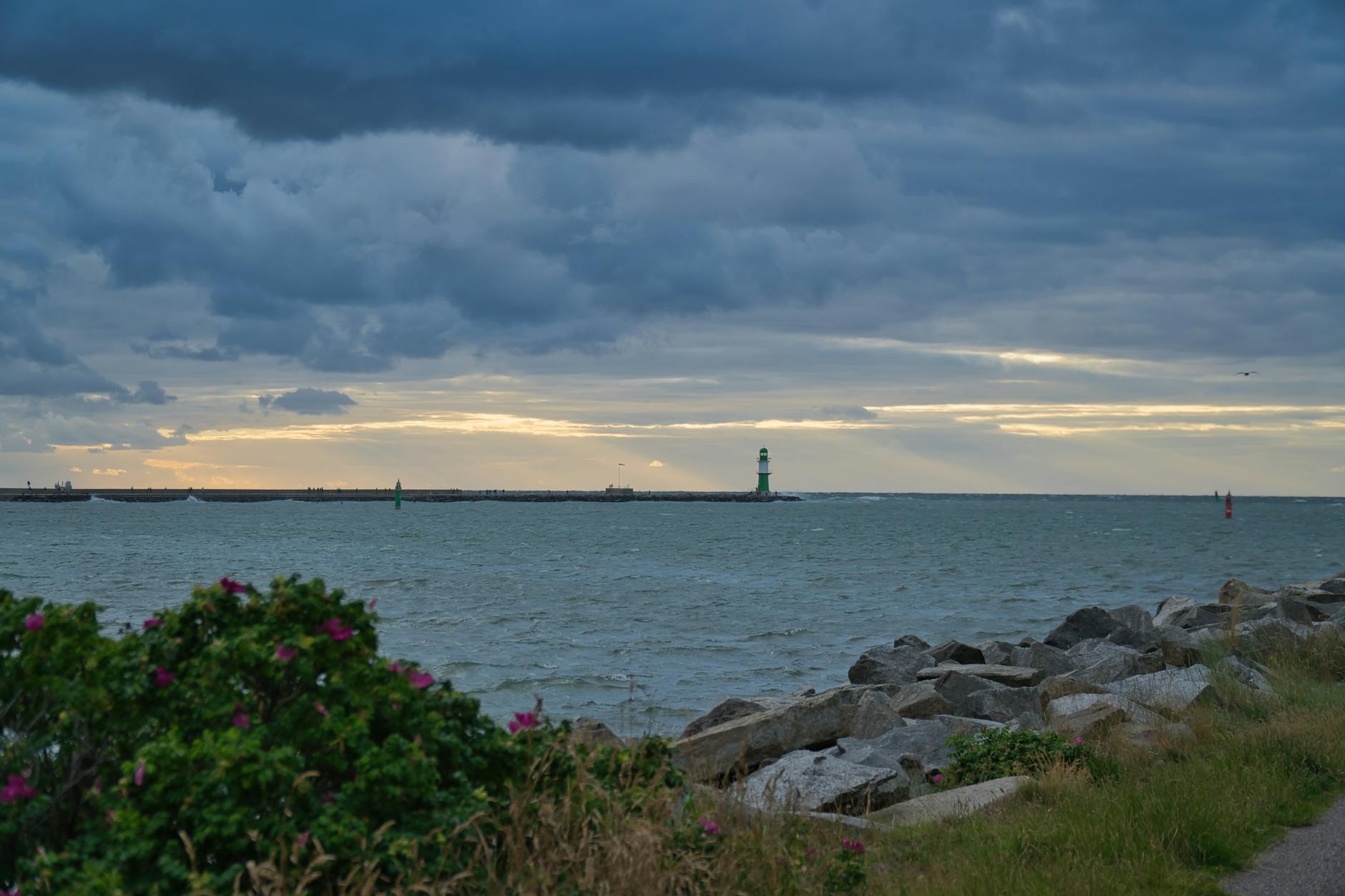 Illustration zu Hansa Rostock – Viktoria Köln