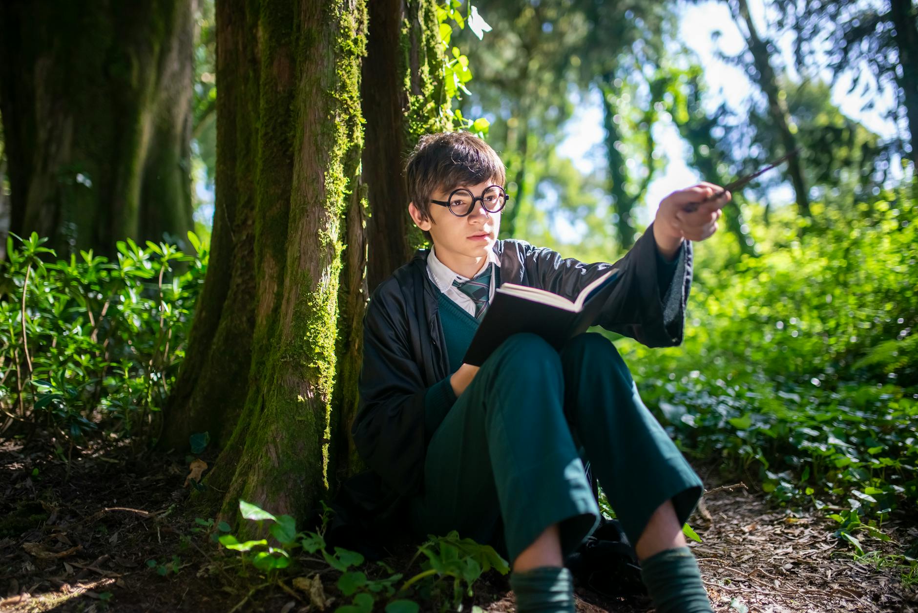 Illustration zu Harry Potter