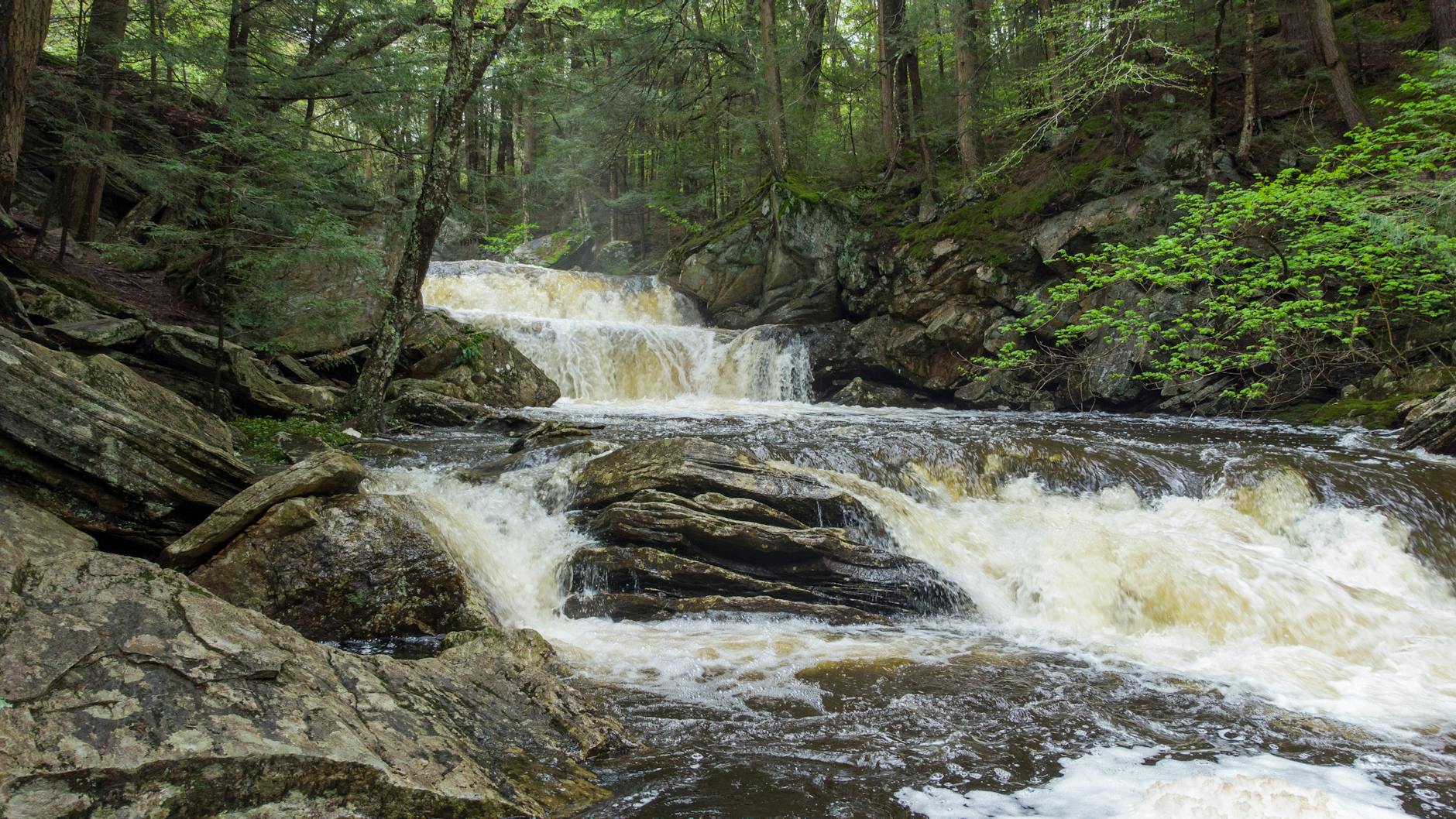 Symbolbild zum Thema Hartberg – Rapid Wien