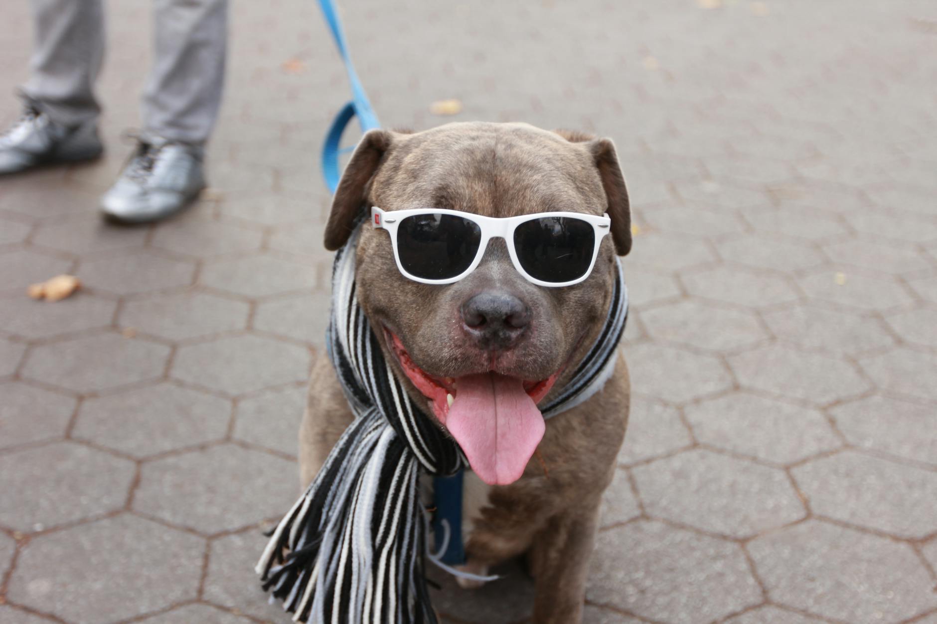 Inter Miami – NY Red Bulls Detailansicht: Inter Miami – NY Red Bulls