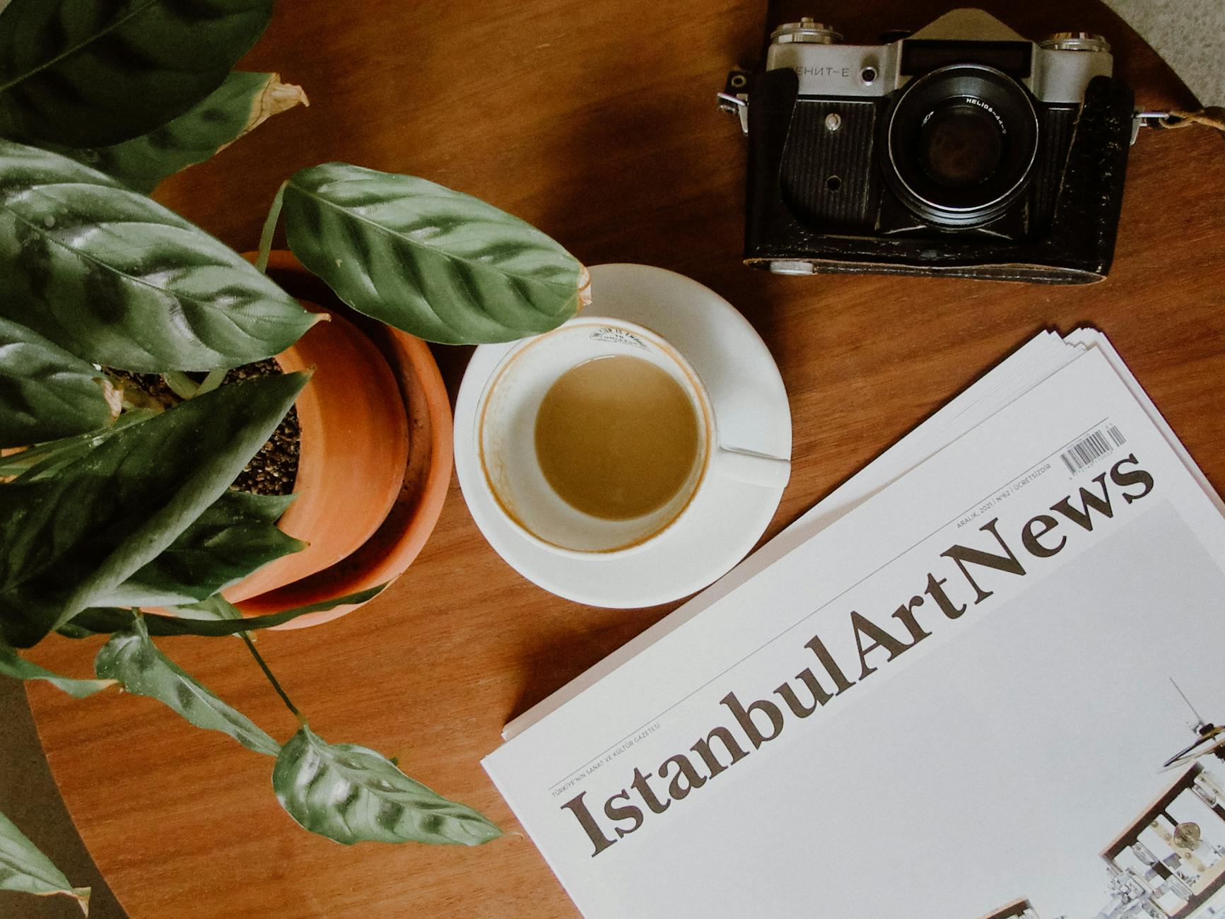 Illustration zu Inter – Roma