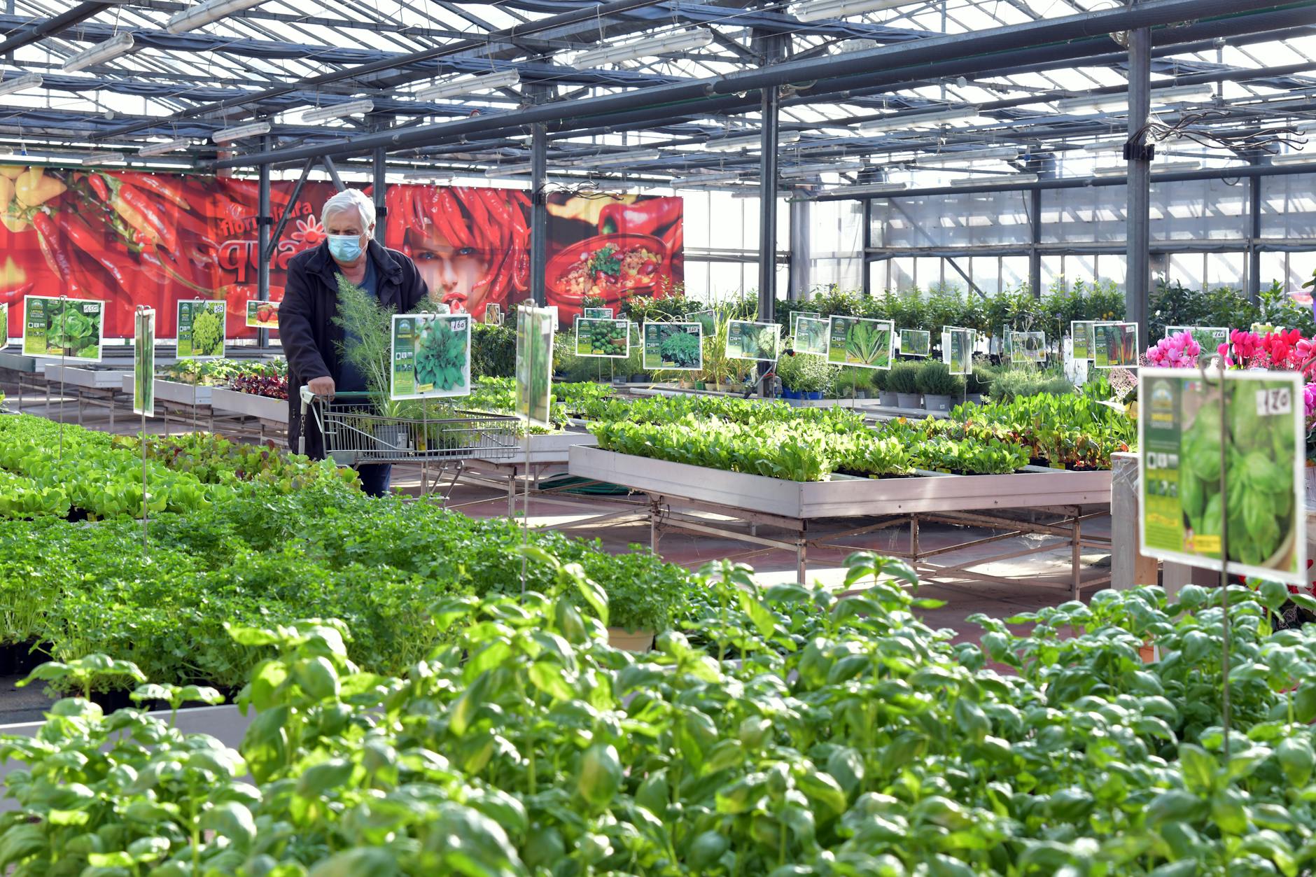 Symbolbild zum Thema Lidl