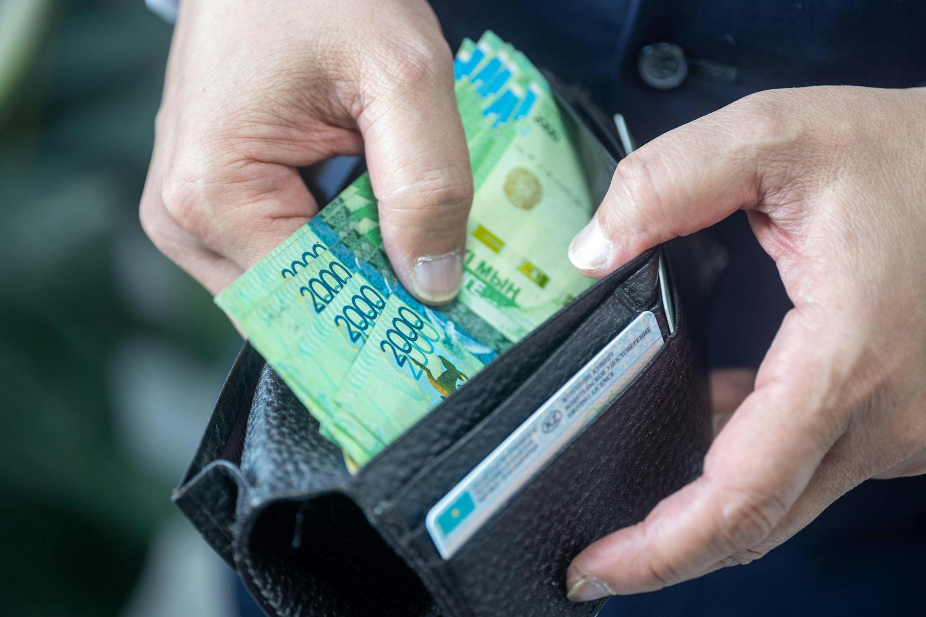 Detailansicht: Malika Dzumaev