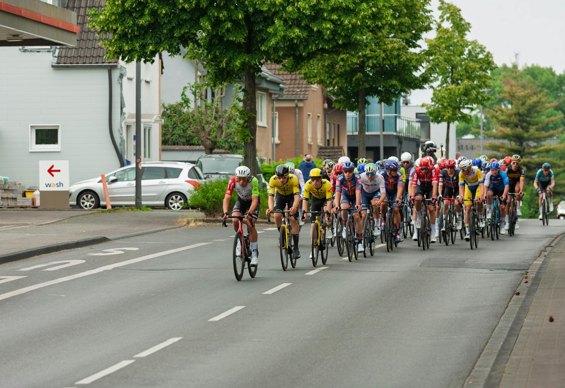 Pogacar Illustration zu Pogacar