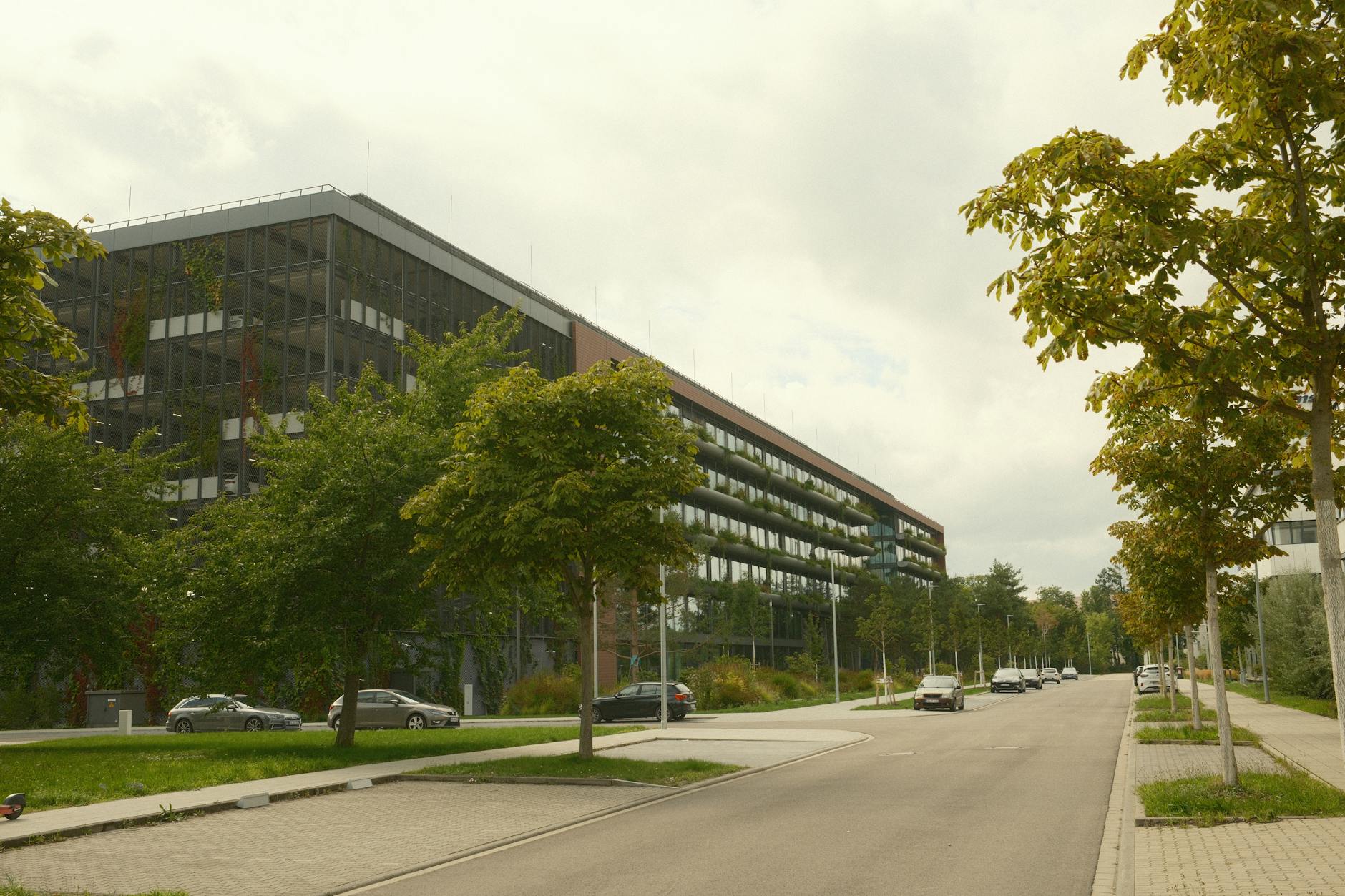 Symbolbild zum Thema Roche Kommt