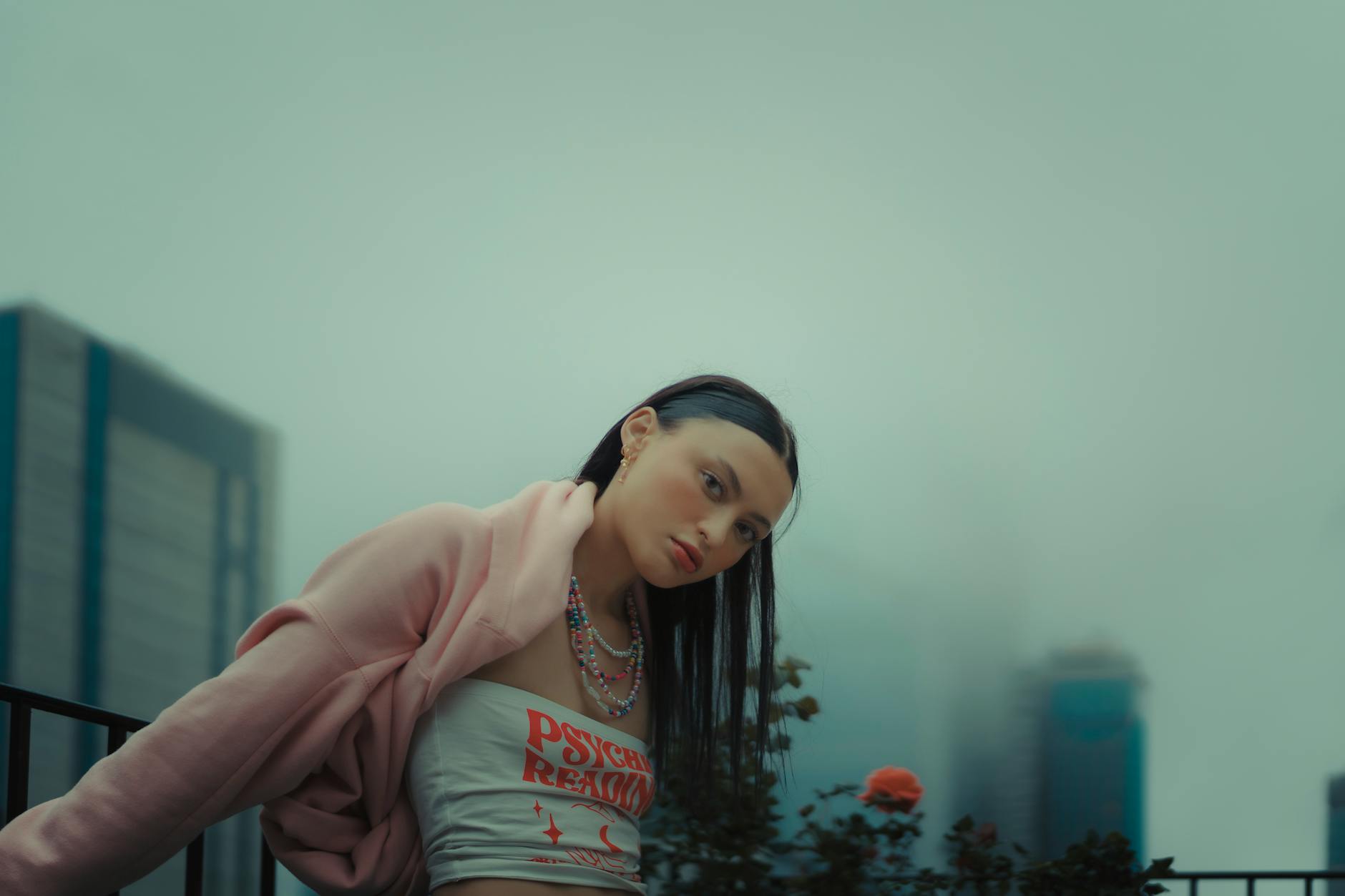 Ruby Rose Illustration zu Ruby Rose