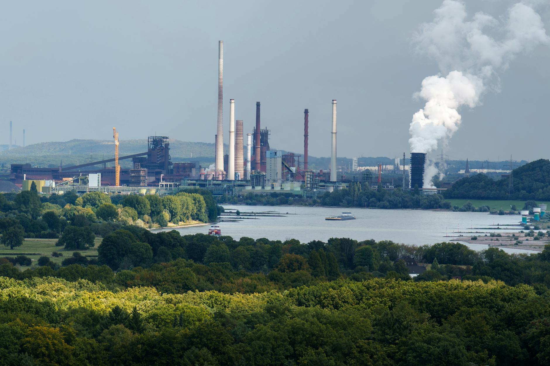 Illustration zu RWE – MSV Duisburg