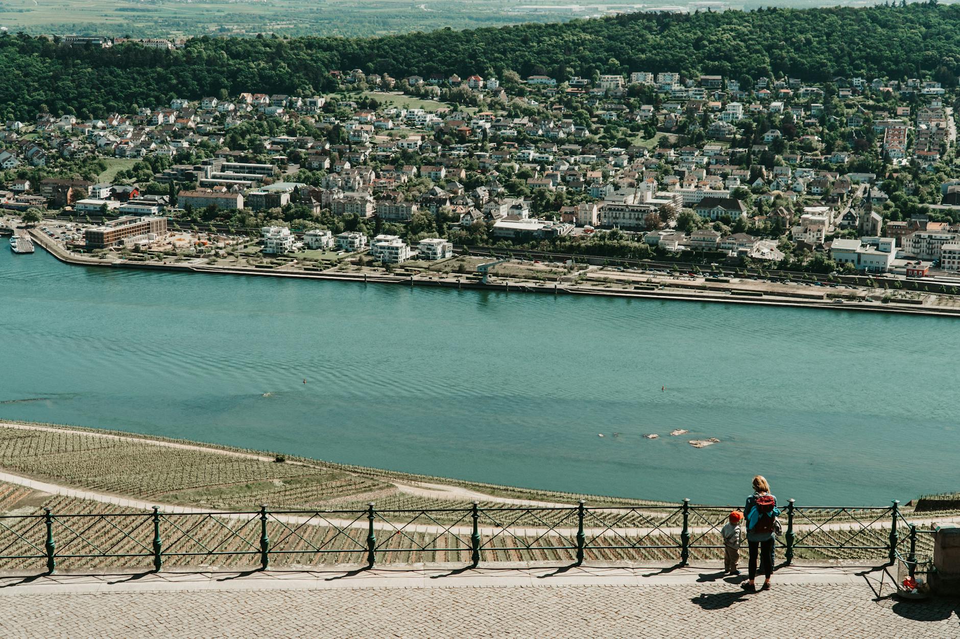 Illustration zu Schädelfund Rheine