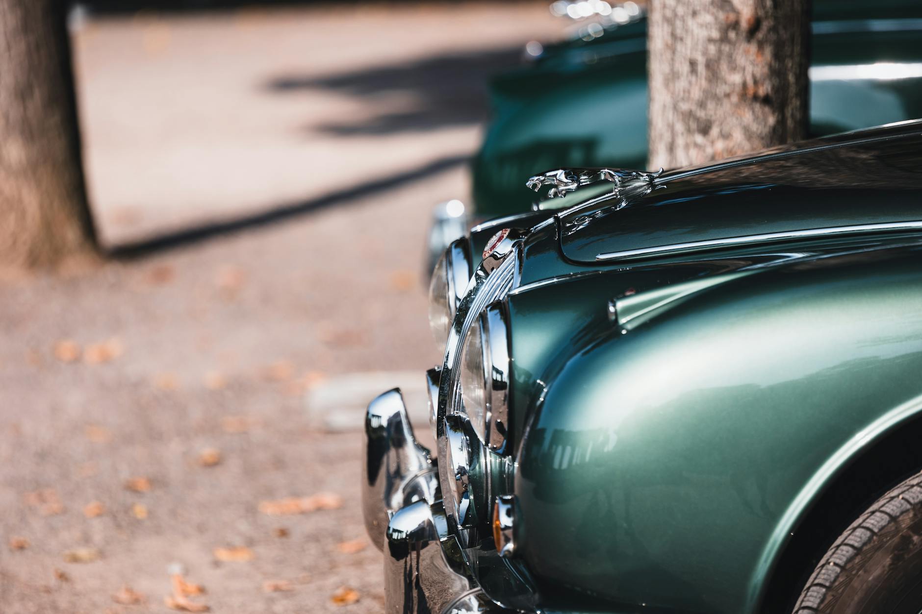 Illustration zu Schattennetz Auto