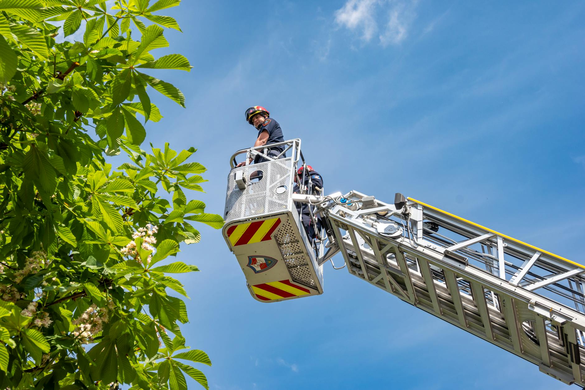 Illustration zu ST Gallen Feuerwehr