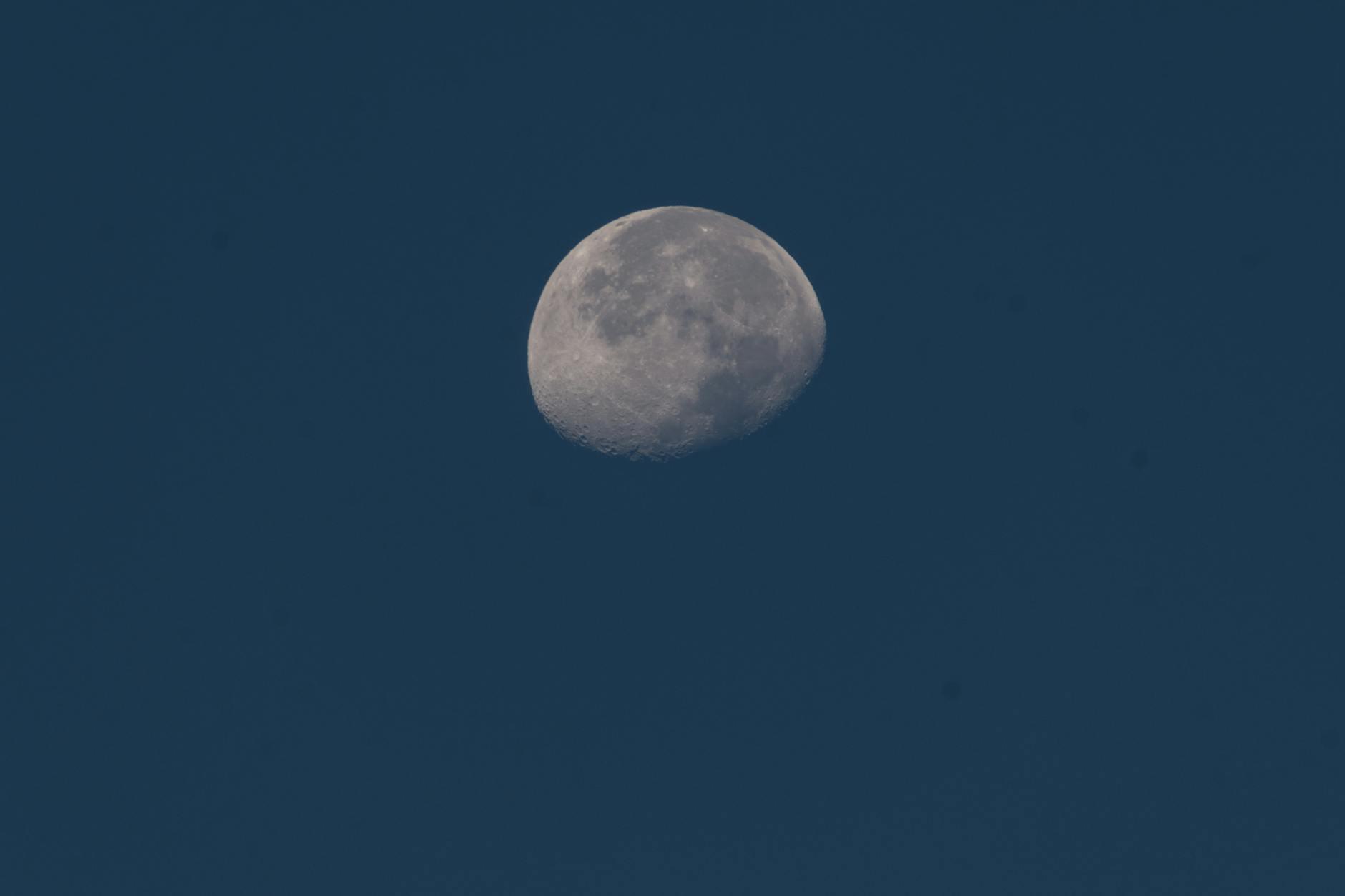 Symbolbild zum Thema Vollmond April 2026 Pink Moon