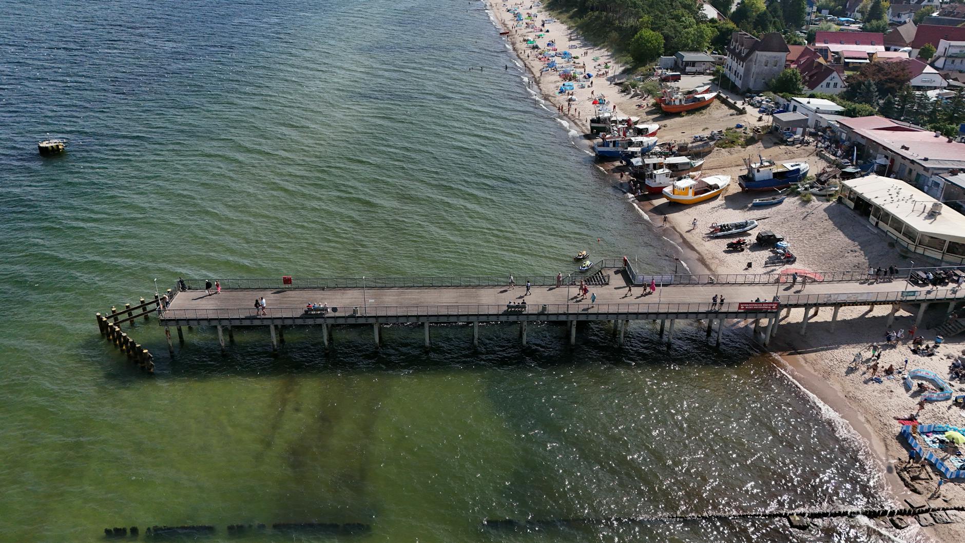 Illustration zu Wal Gestrandet Poel