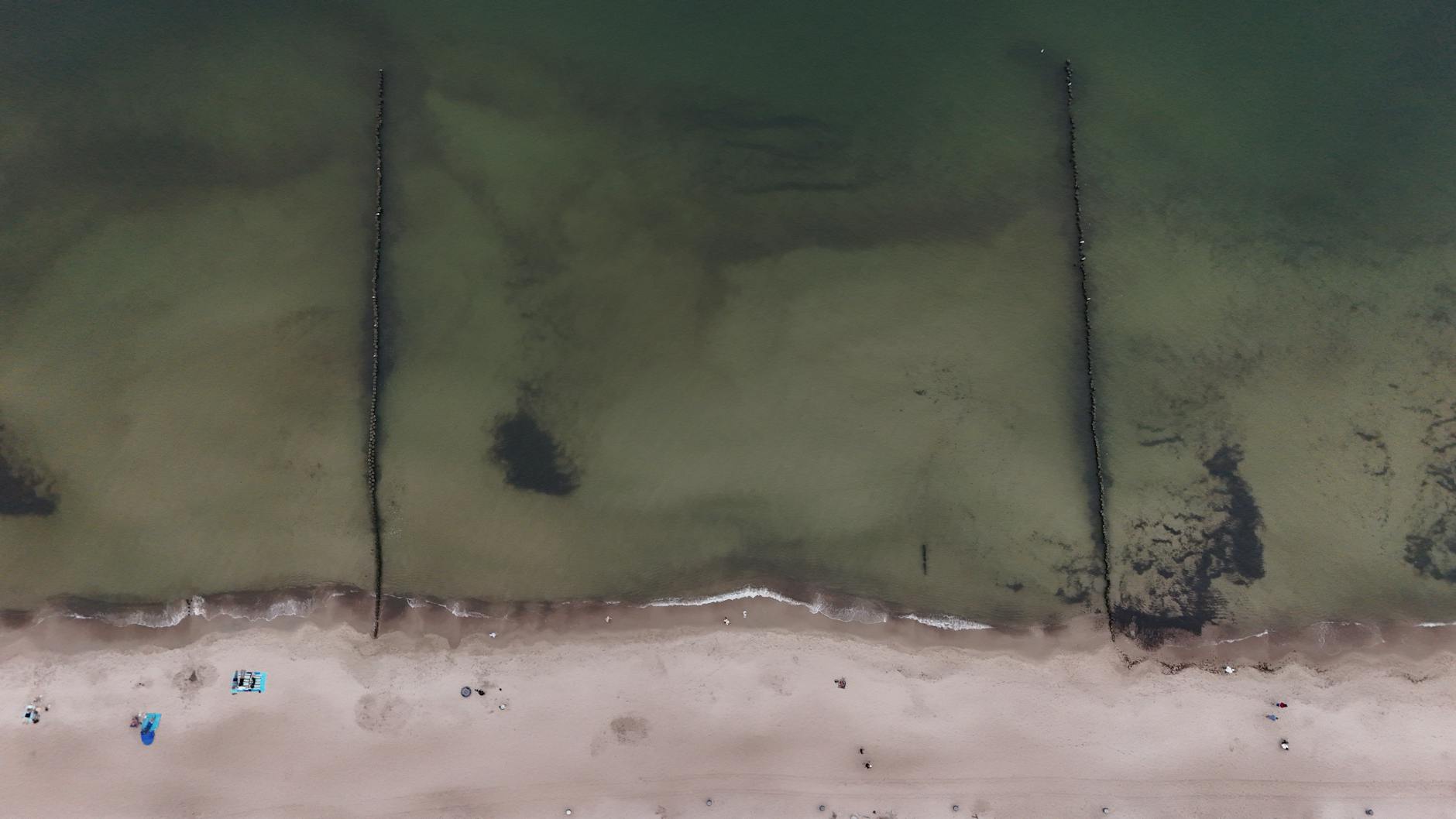 Symbolbild zum Thema Wal Strandung Ostsee