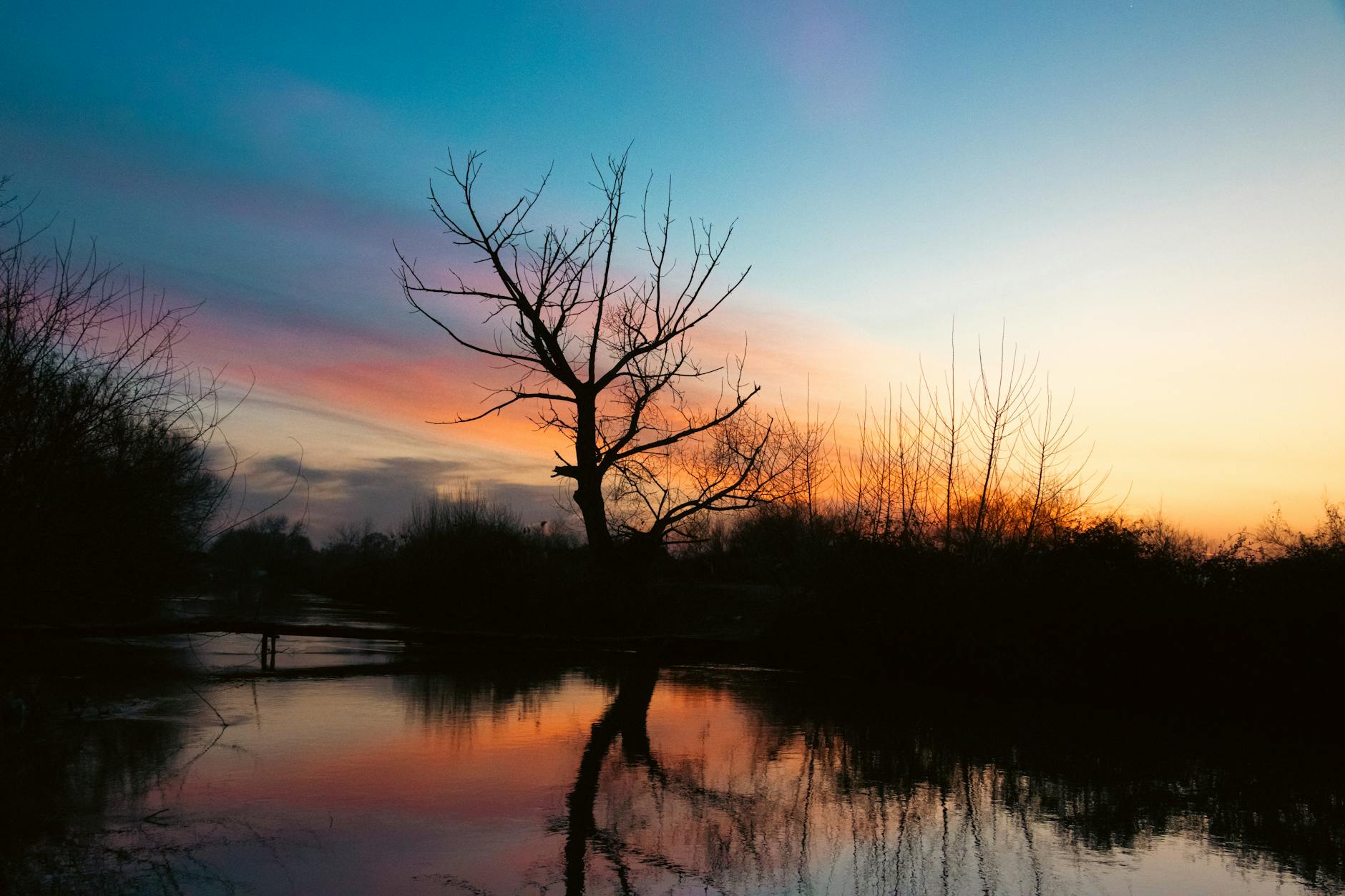 Silvia Salis – Foto: Uğur Hamzayev / Pexels