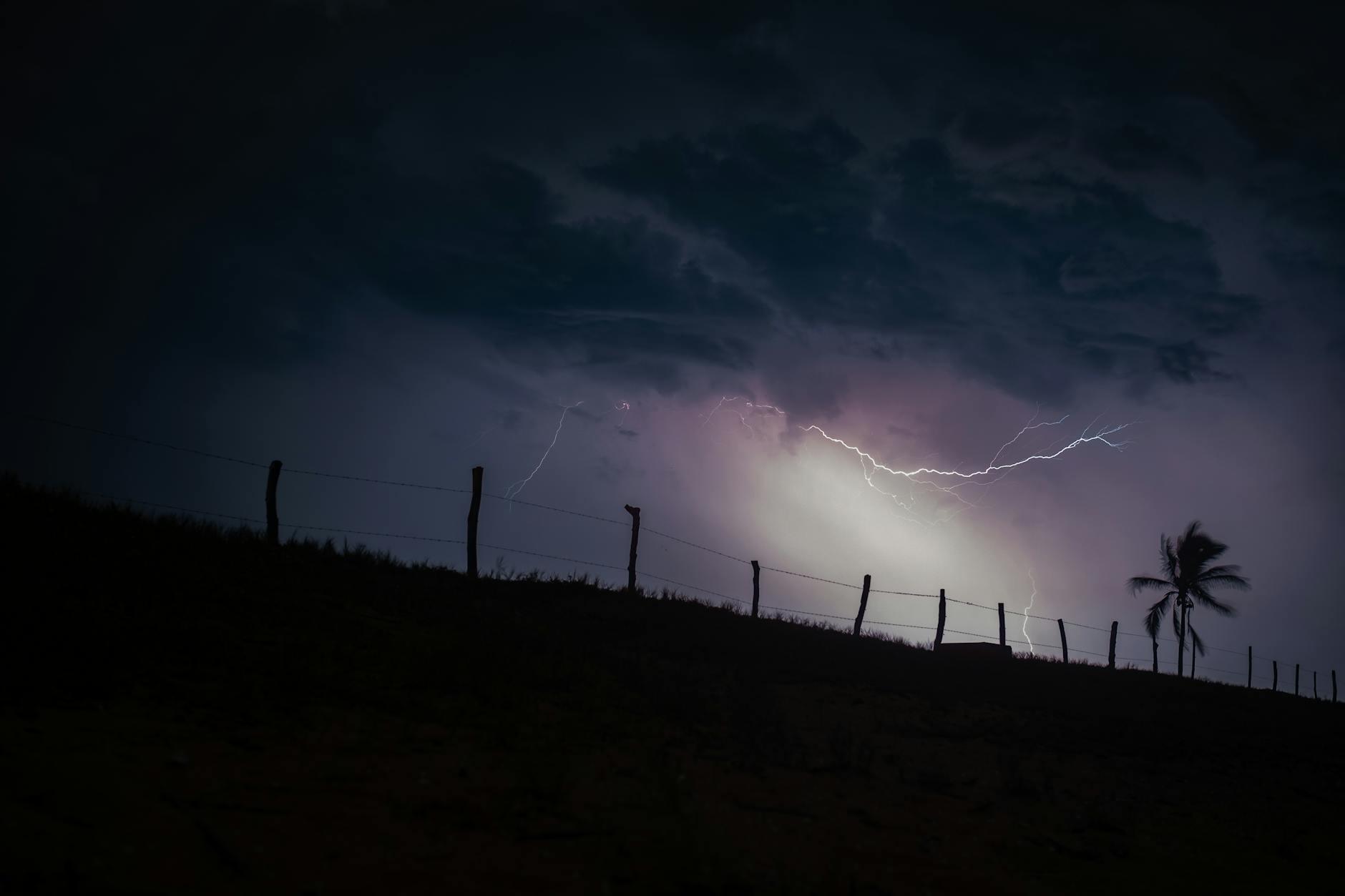 Thunder Suns – Foto: Ludvig Hedenborg / Pexels