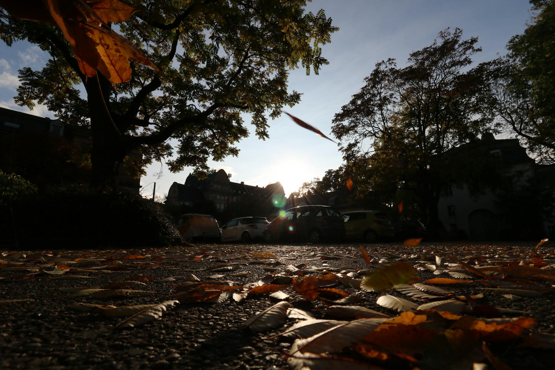 wetter bochum – Foto: light wizzi / Pexels
