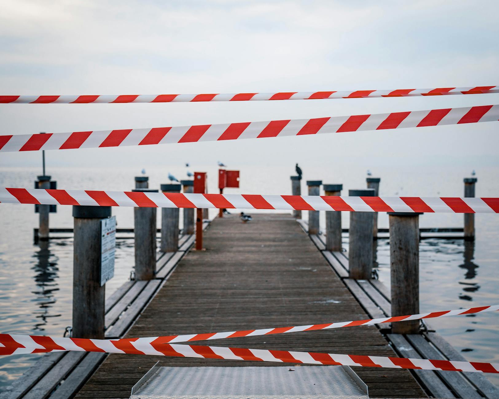 aktuelle störungen – Foto: Pits Riccardo / Pexels