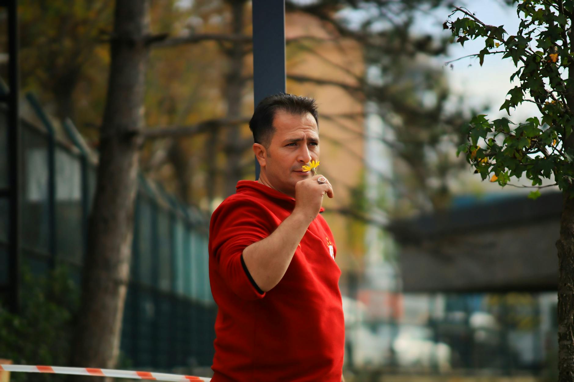 der kastanienmann staffel 2 – Foto: Murat IŞIK / Pexels