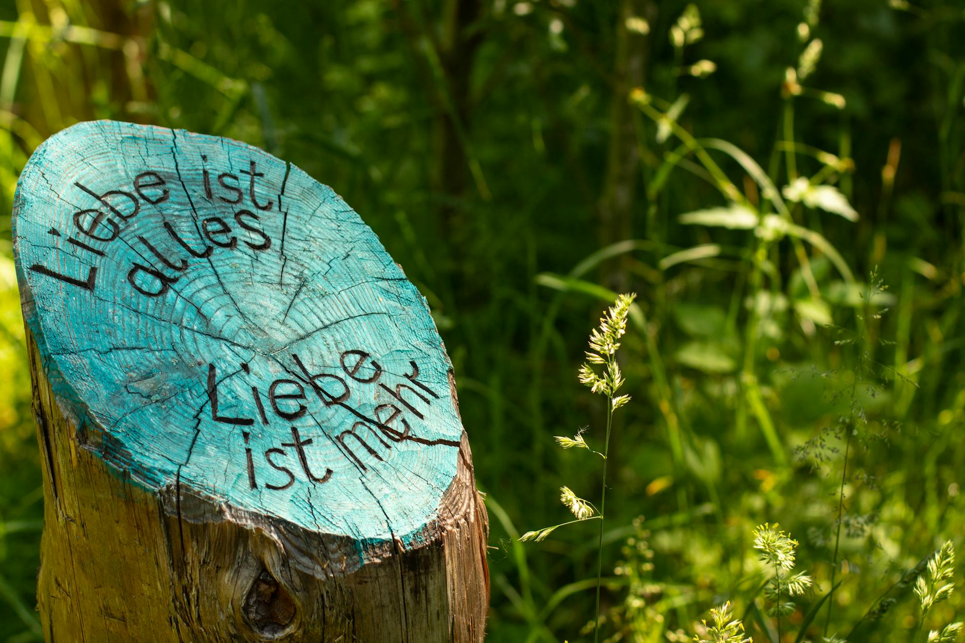gntm wer ist raus heute – Foto: Birgit Böllinger / Pexels