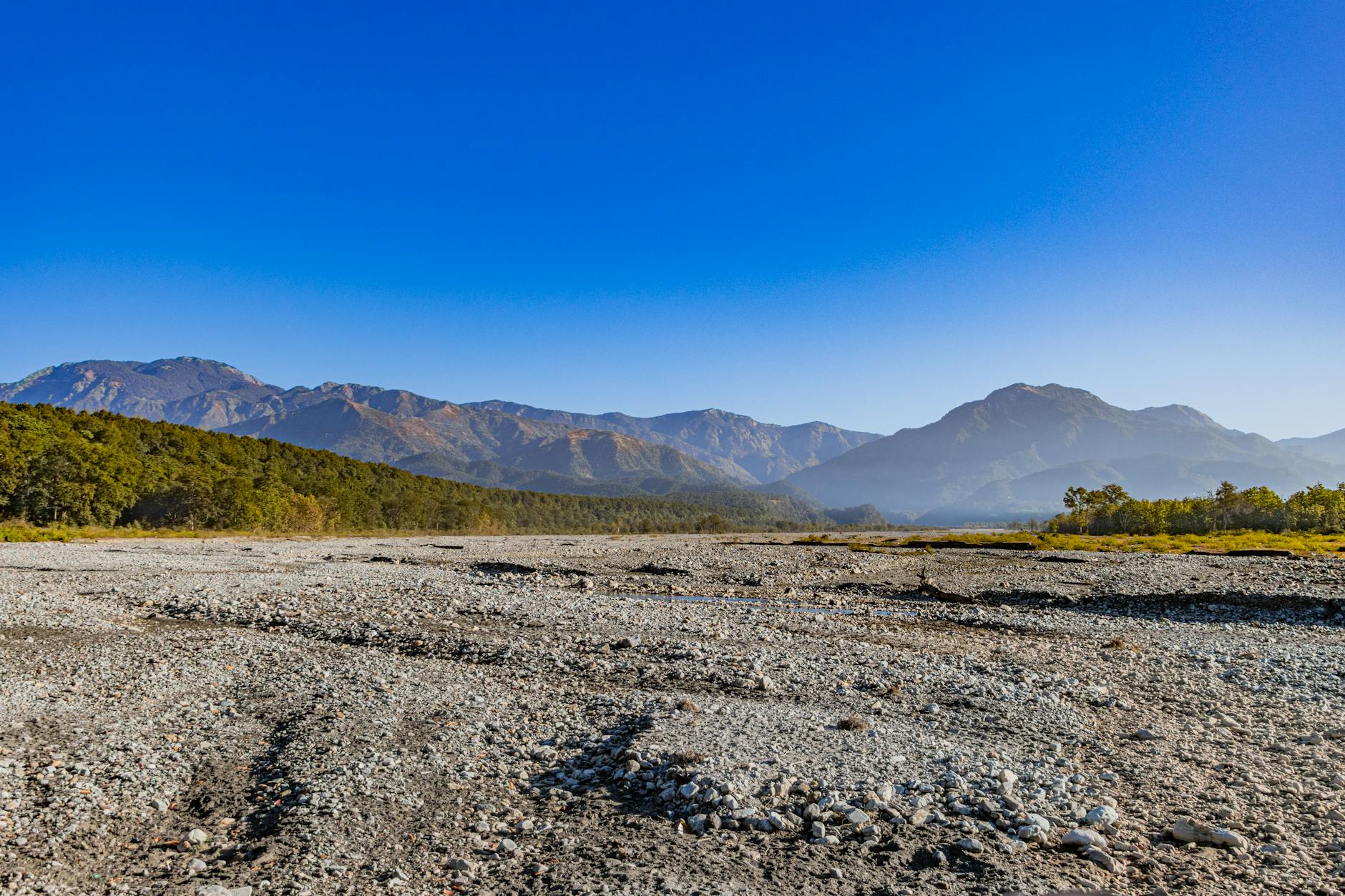 Jim Miller – Foto: Shantum Singh / Pexels