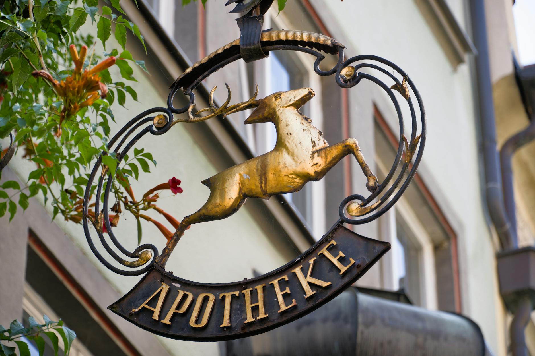 Detailansicht: Apotheke Häusliche Gewalt