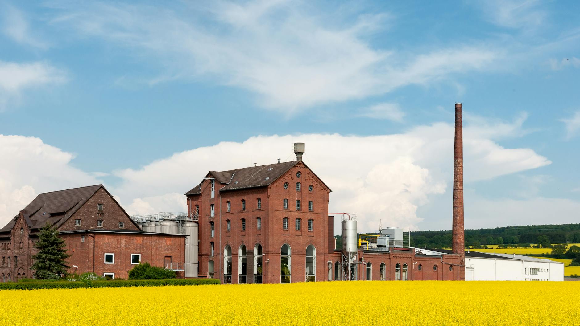 Detailansicht: BASF Aktie