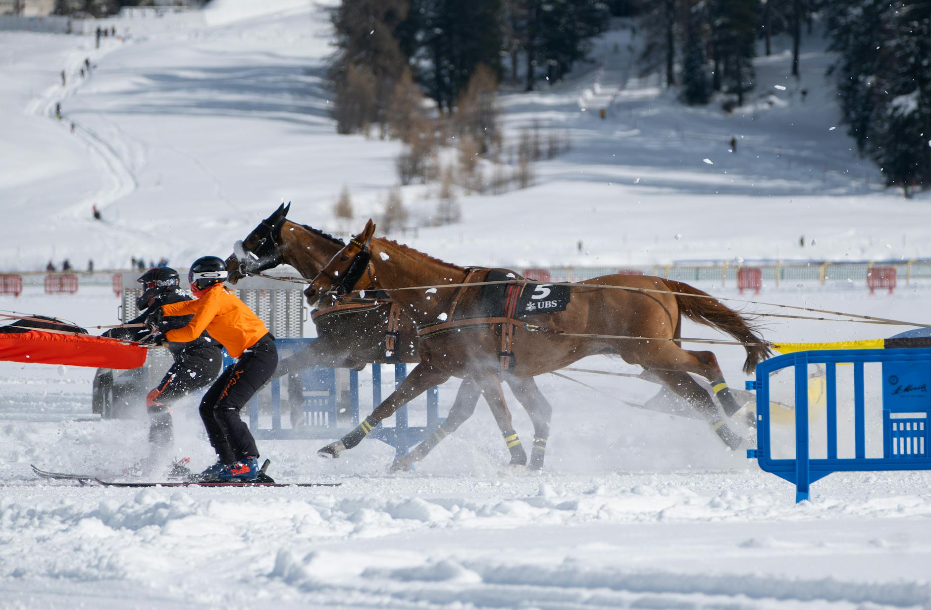 Symbolbild zum Thema Biathlon