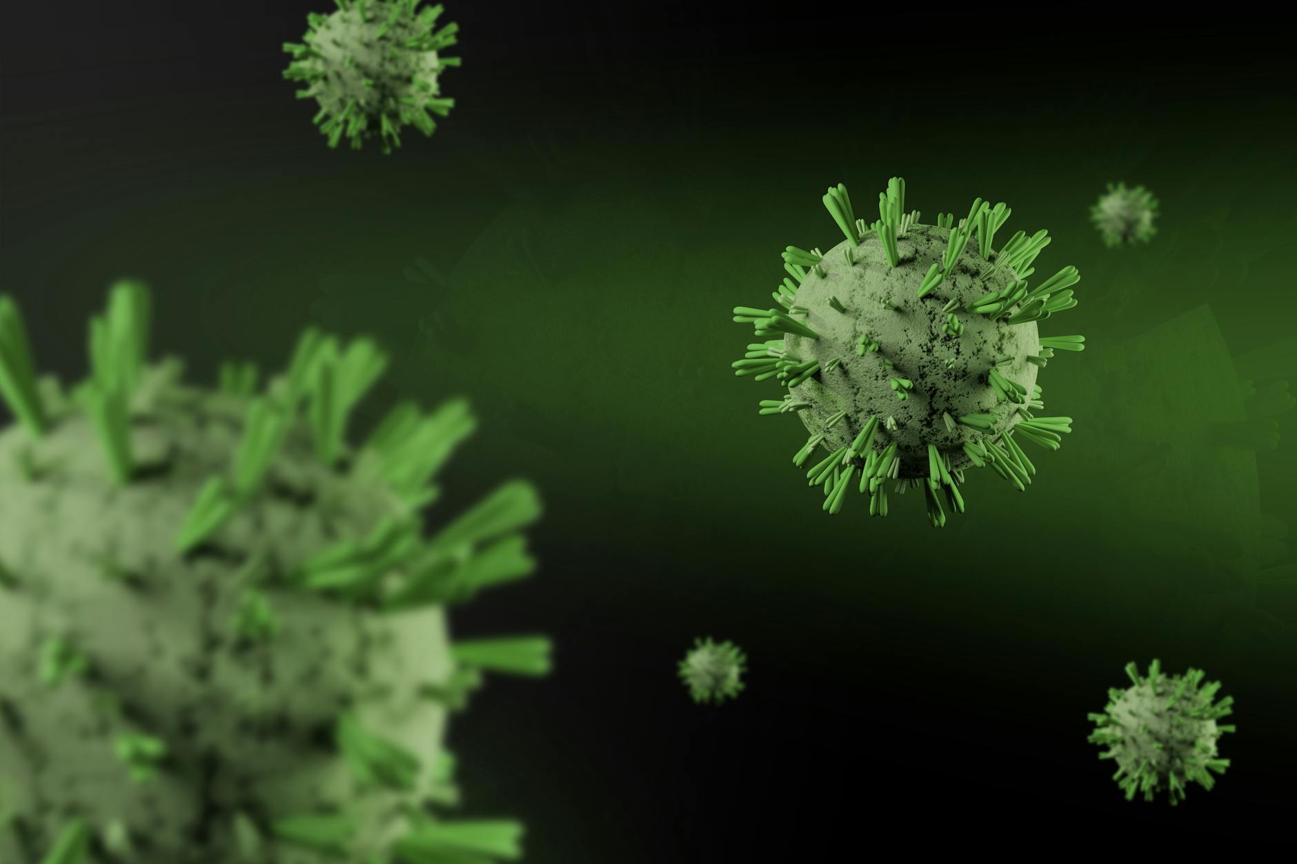 Illustration zu Borna Disease Virus