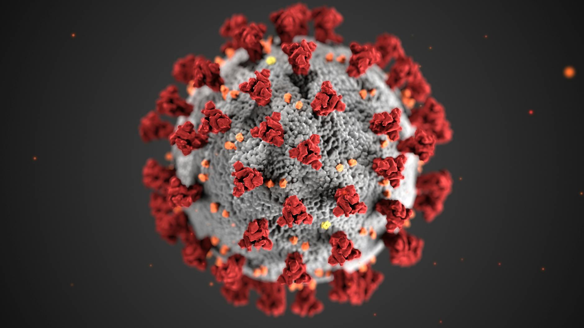Detailansicht: Borna Disease Virus
