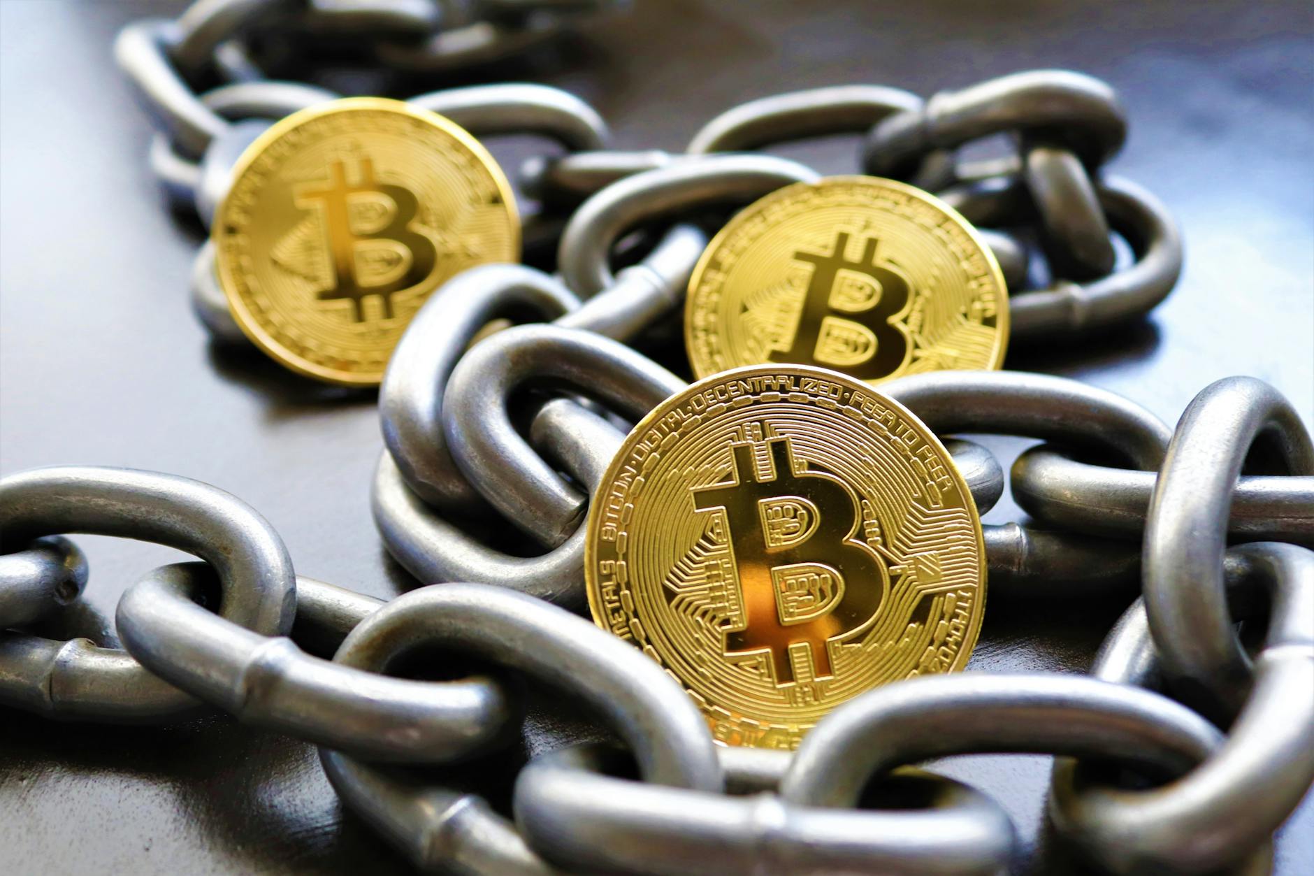 Detailansicht: Btc-echo