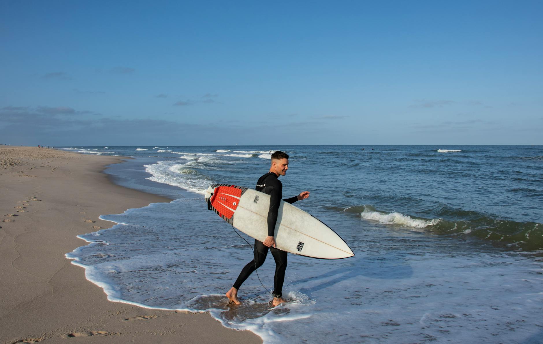 Detailansicht: Buckelwal Nordsee