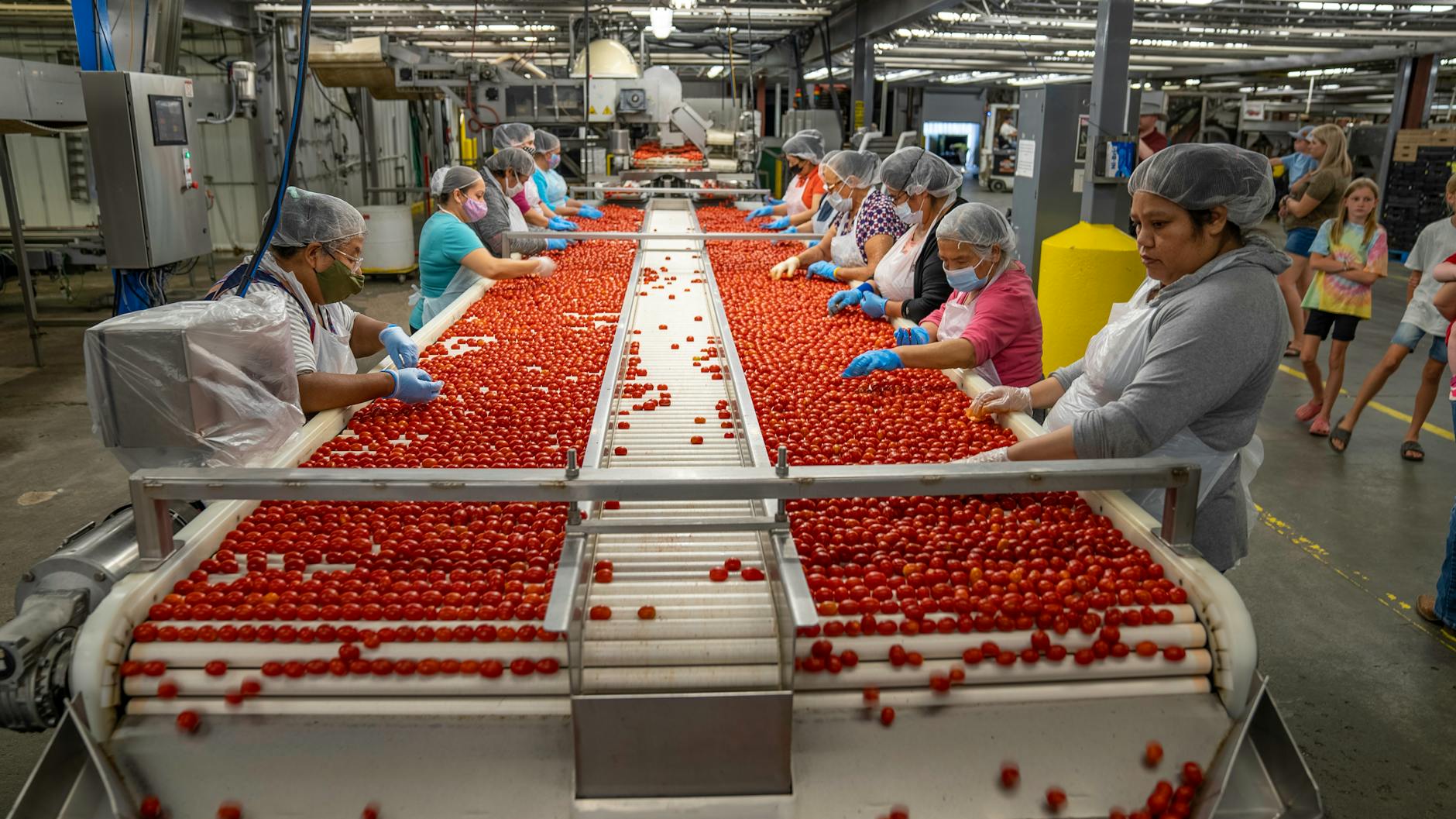 Detailansicht: Del Monte Foods