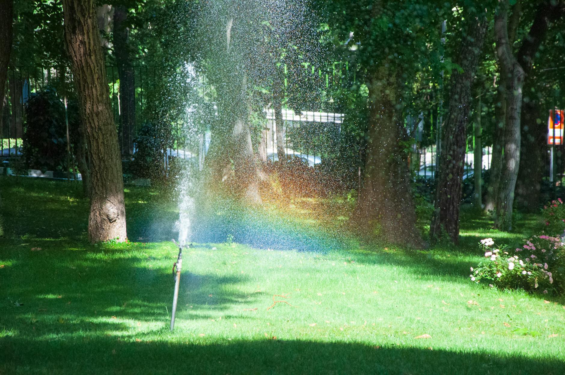 Detailansicht: Garten Abkühlung