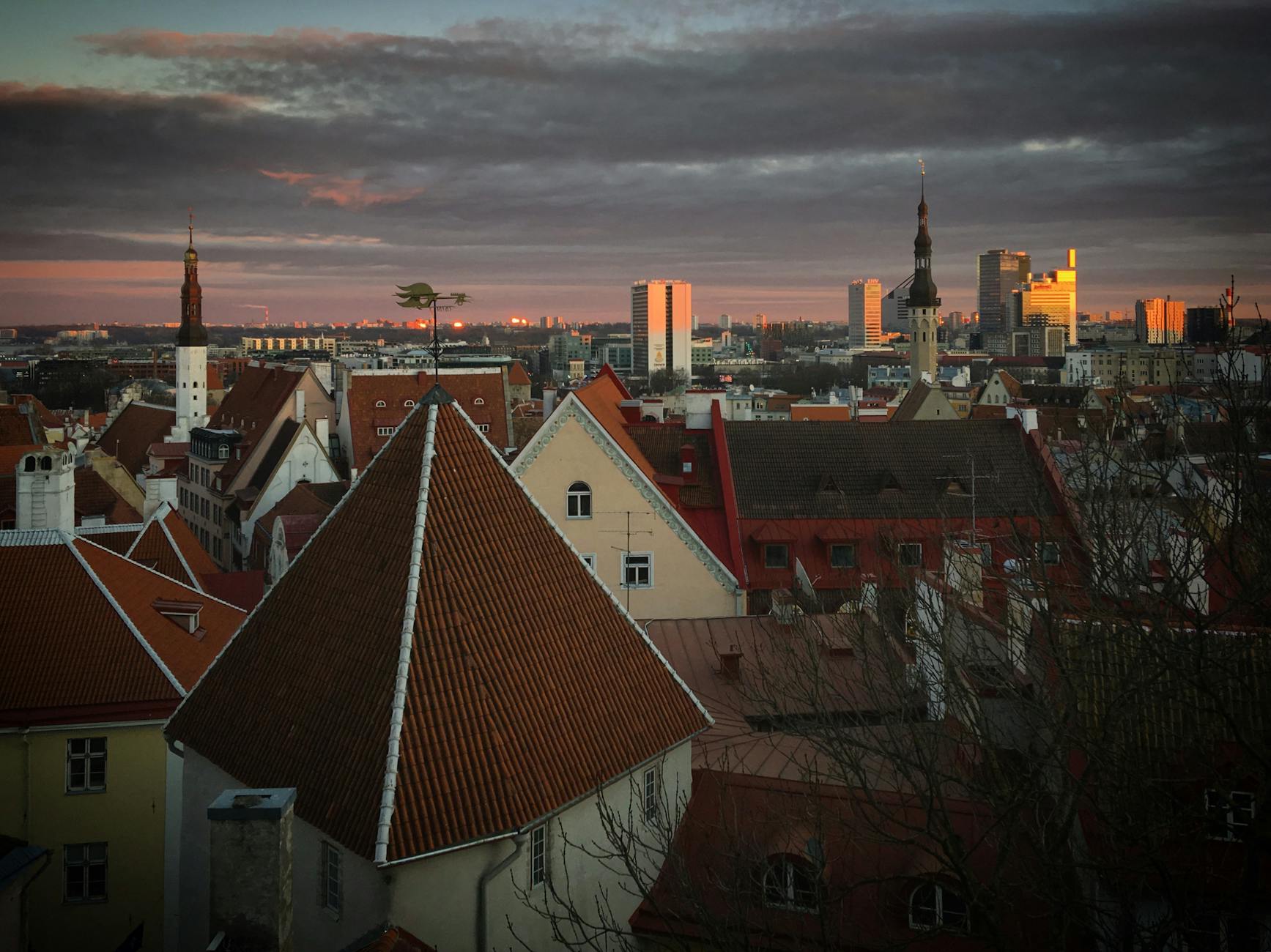 Detailansicht: Goodbye Deutschland Olaf Heidtke
