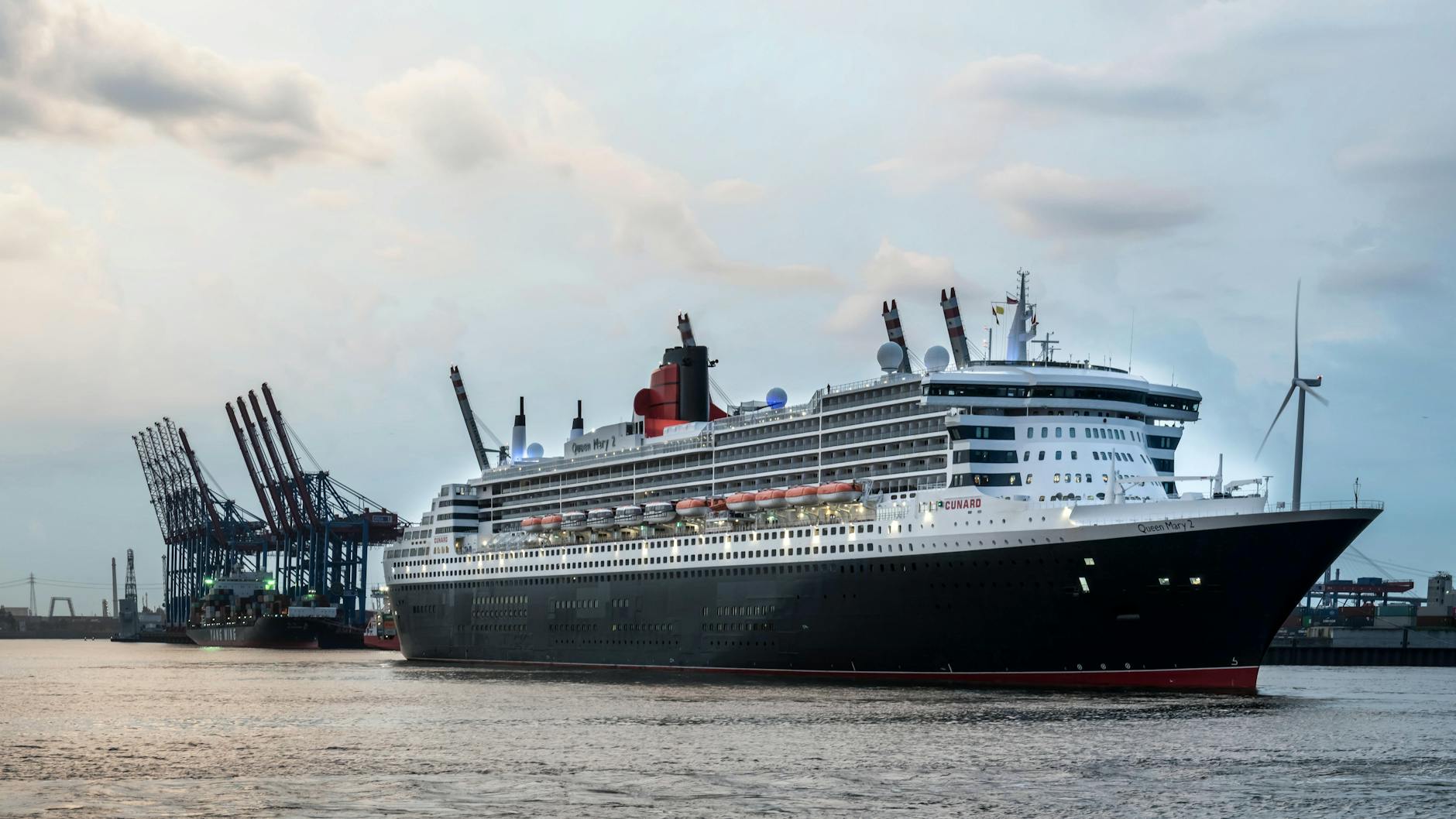 Symbolbild zum Thema Hantavirus Auf Kreuzfahrtschiff