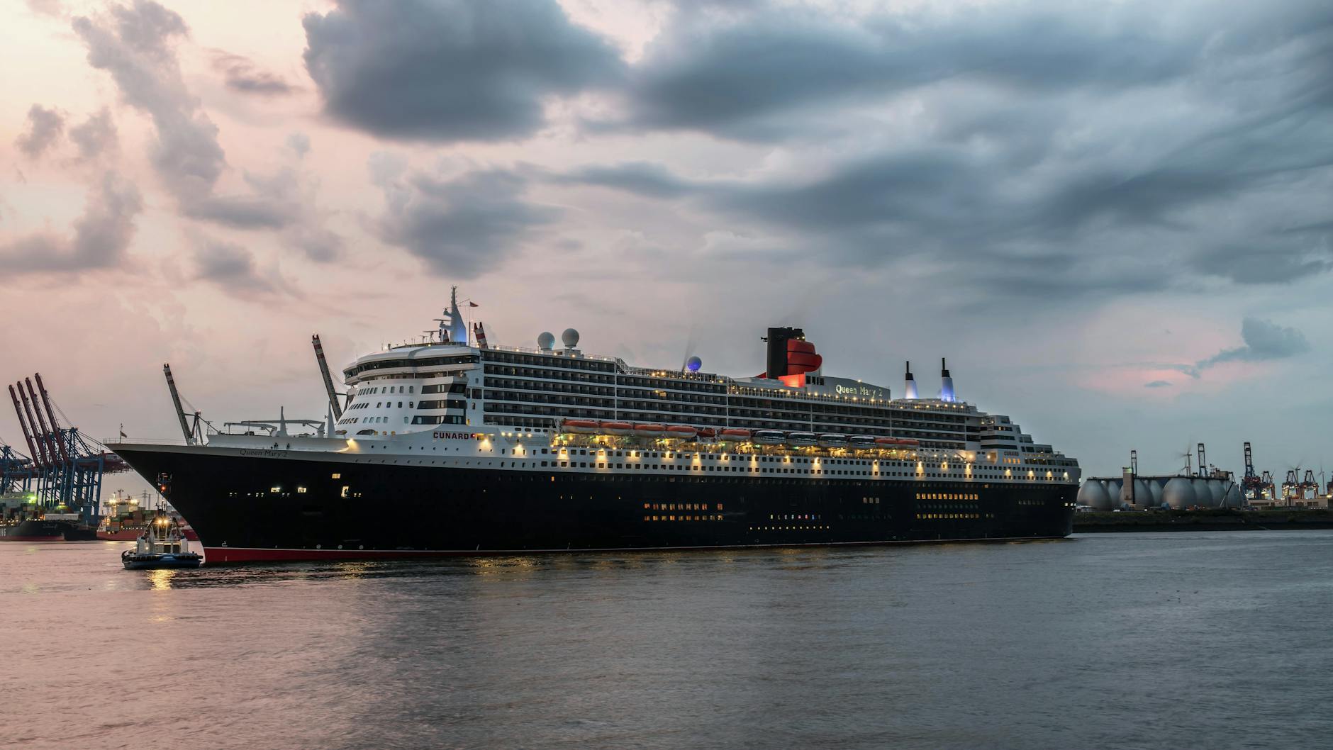 Detailansicht: Hantavirus Auf Kreuzfahrtschiff