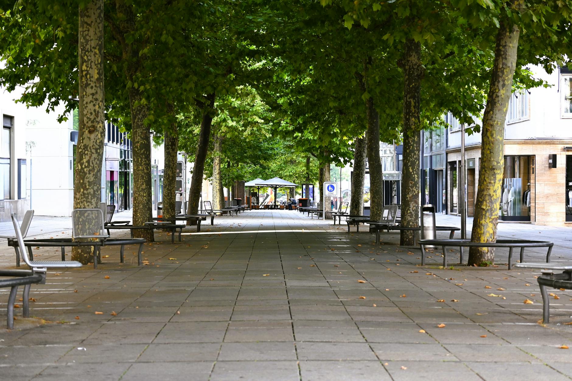 Detailansicht: Köln – Heidenheim