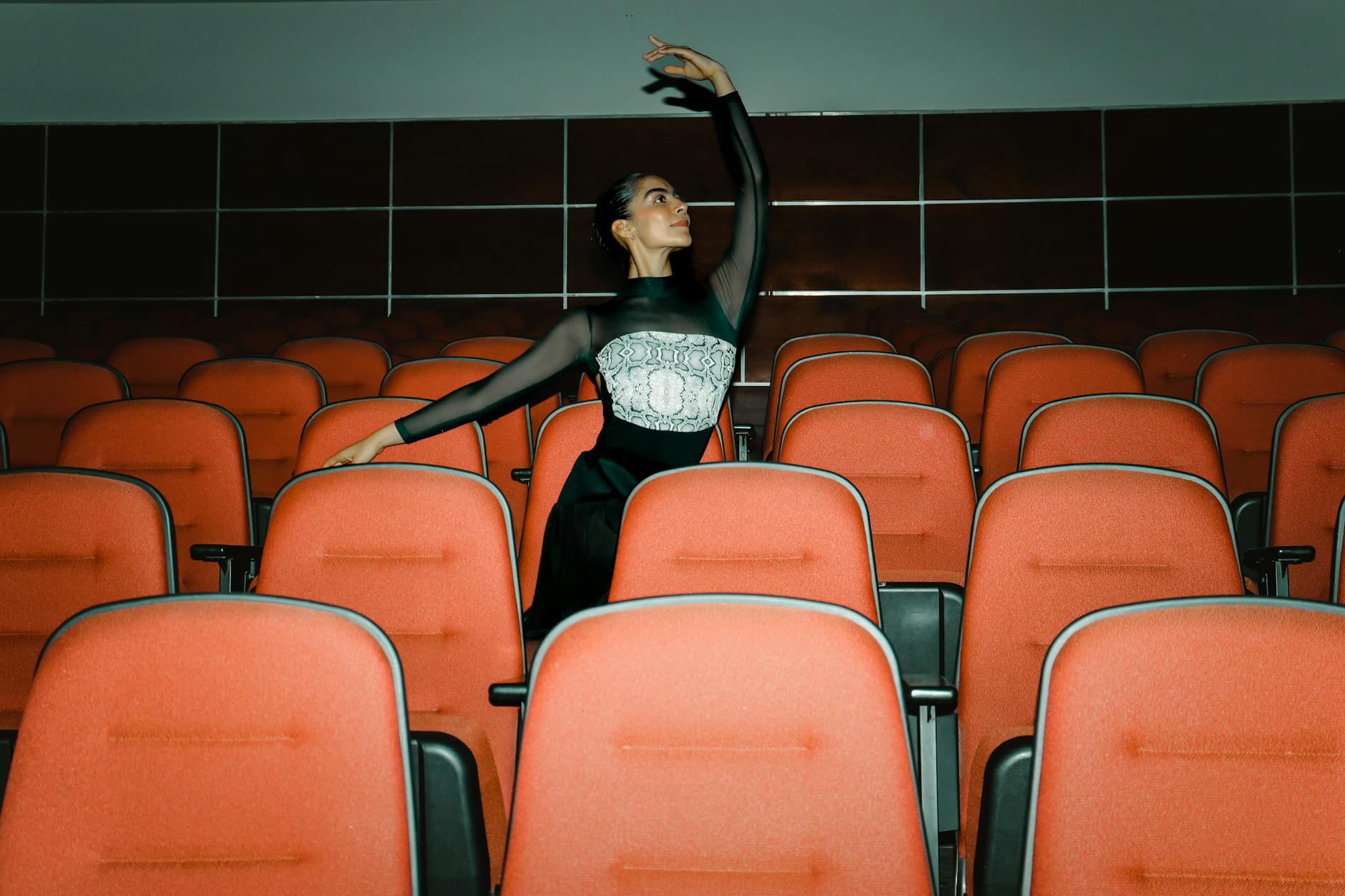 Illustration zu Lets Dance Malika